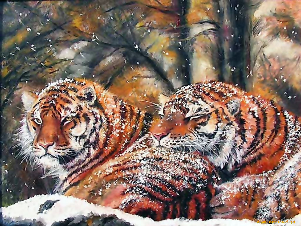 рисованные, животные, тигры