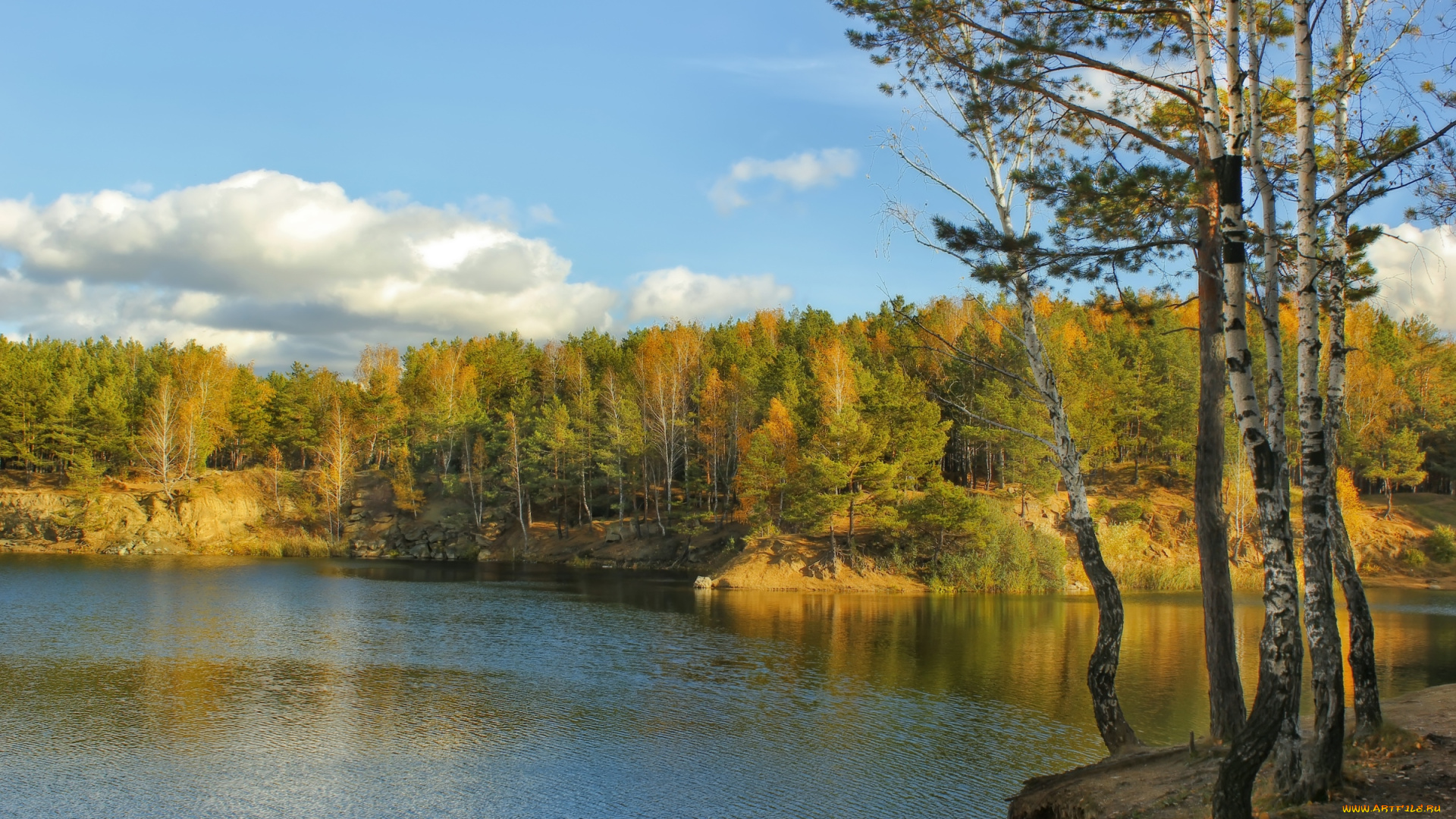 природа, реки, озера, сосны, вода