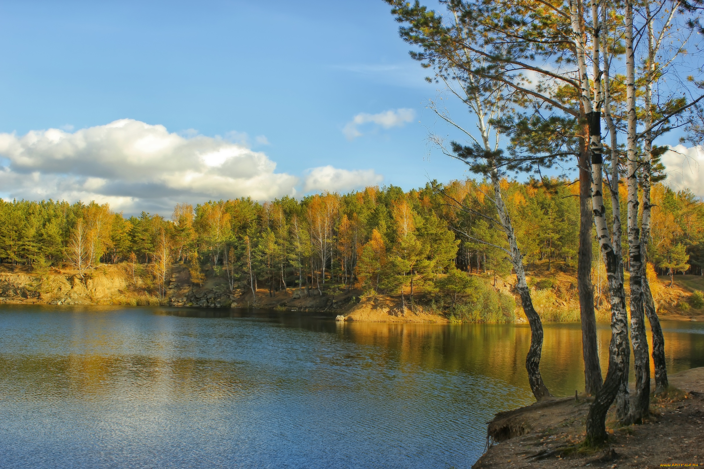 природа, реки, озера, сосны, вода