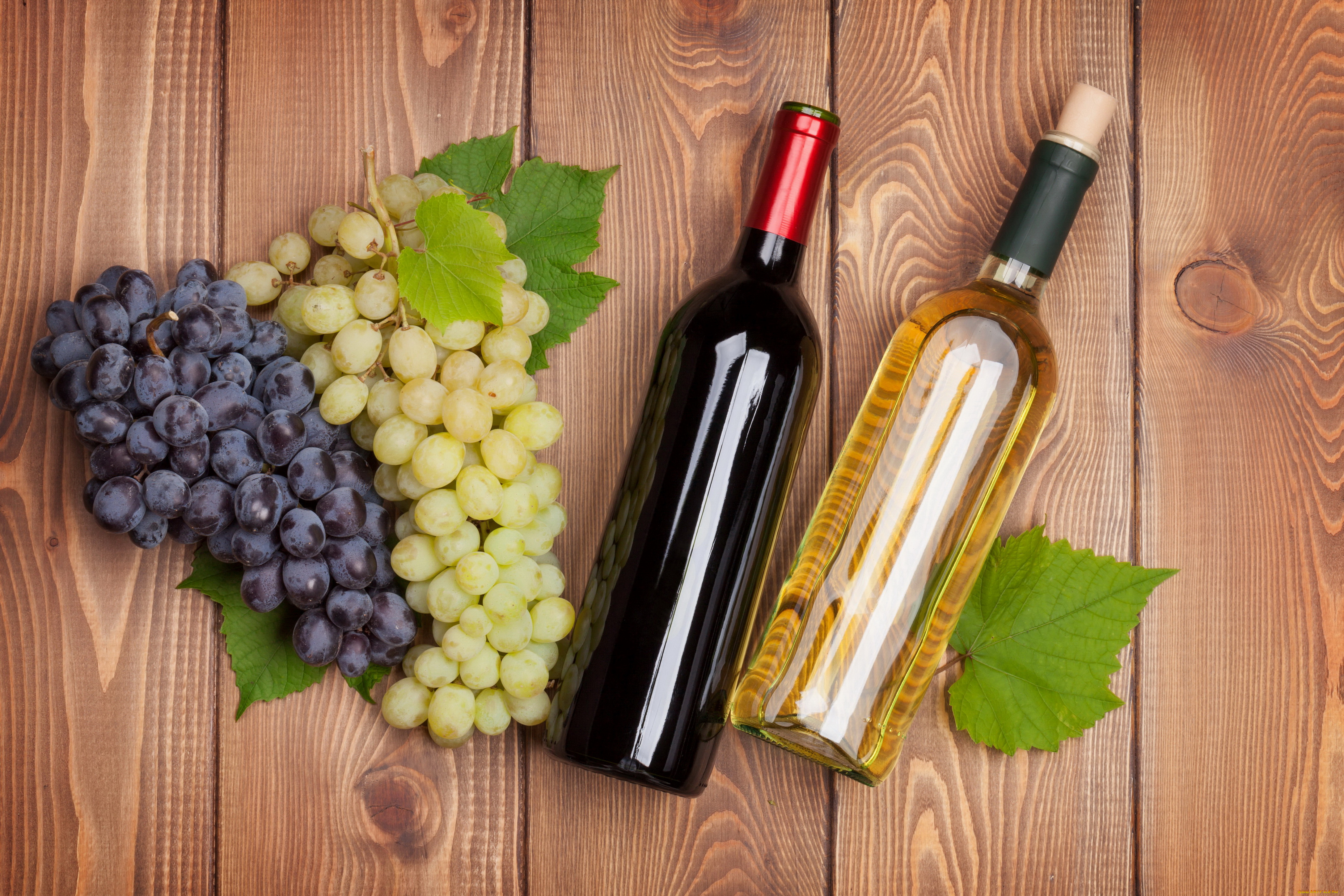 еда, виноград, бутылка, вино