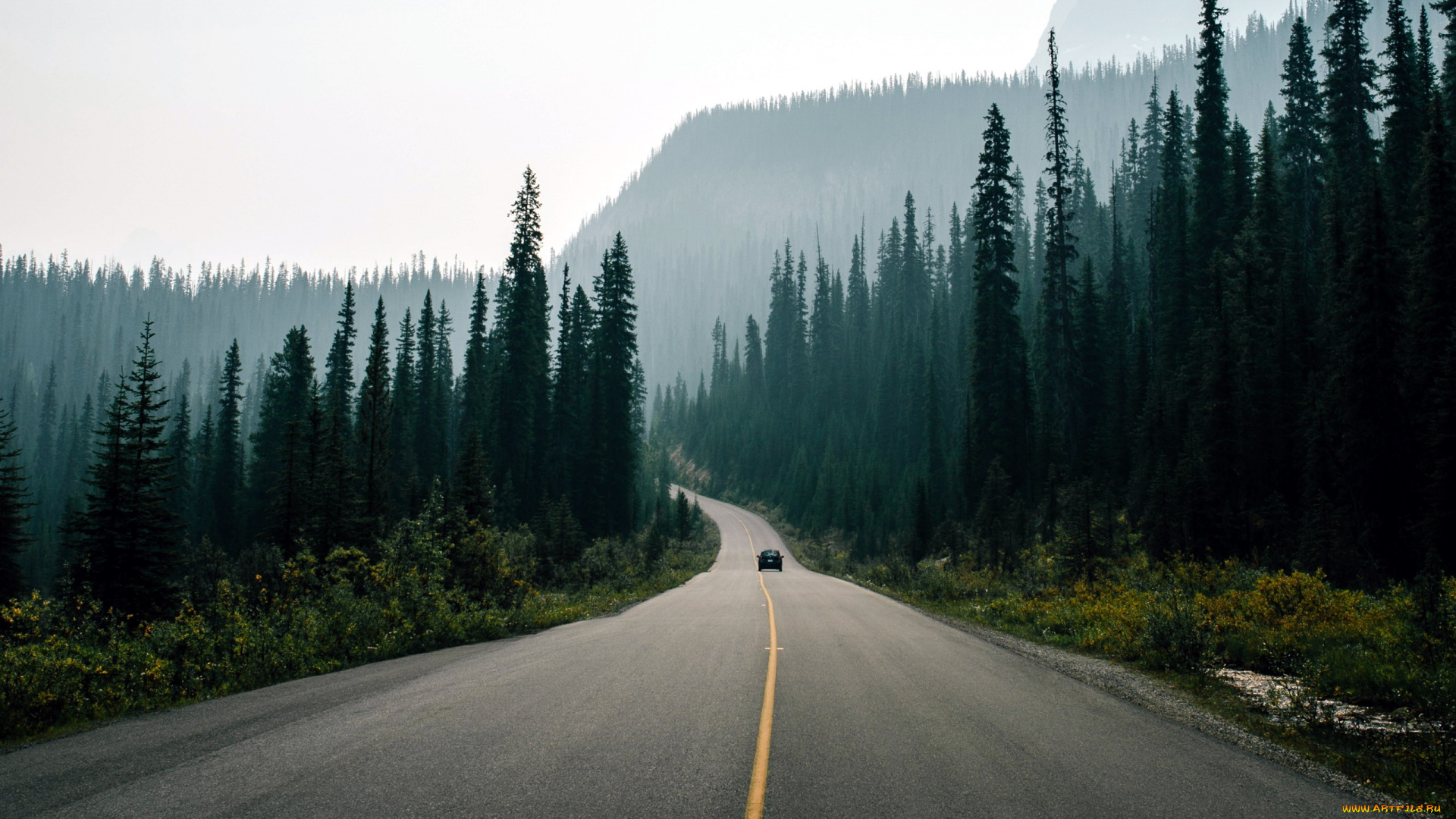 природа, дороги, шоссе, туман