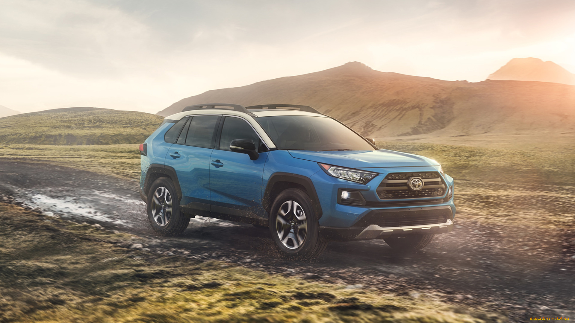 toyota, rav4, 2019, автомобили, toyota, crossover, 2019, rav4