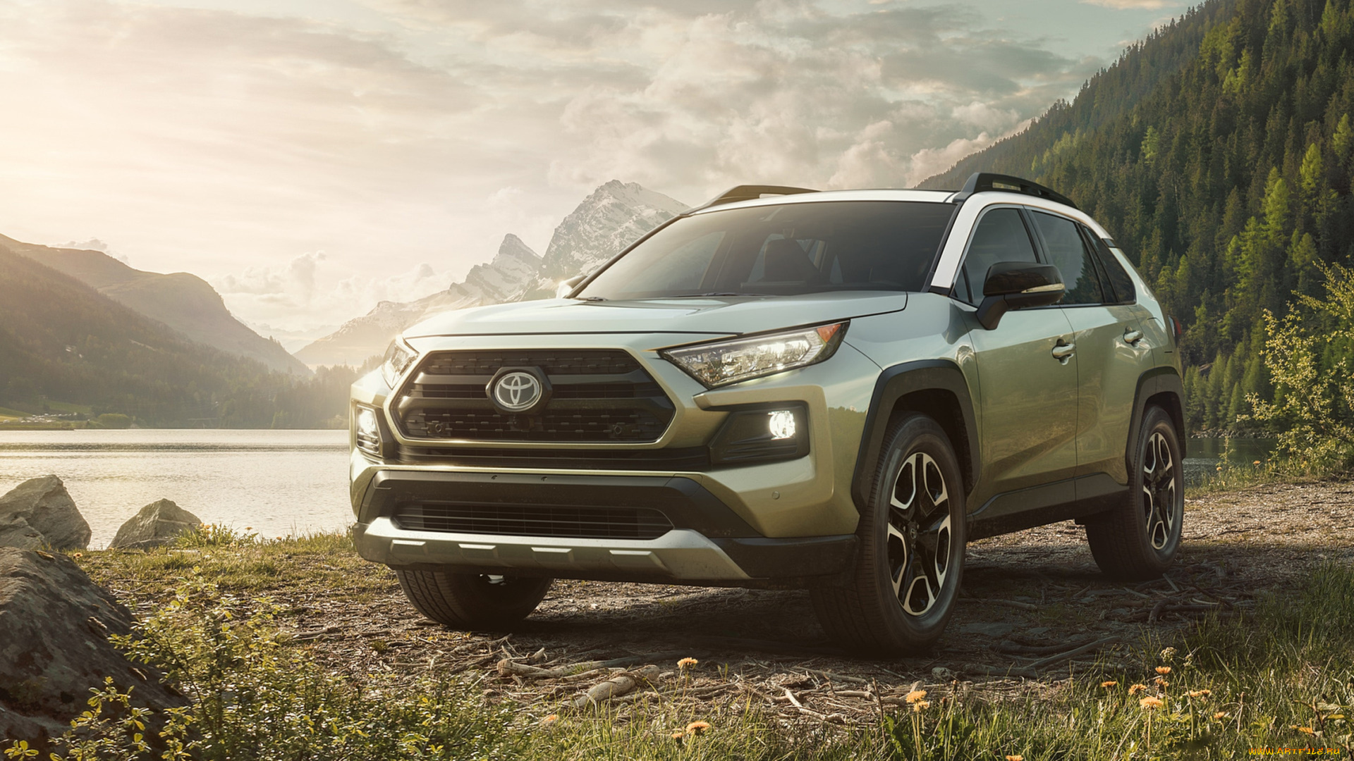 toyota, rav4, 2019, автомобили, toyota, rav4, crossover, 2019