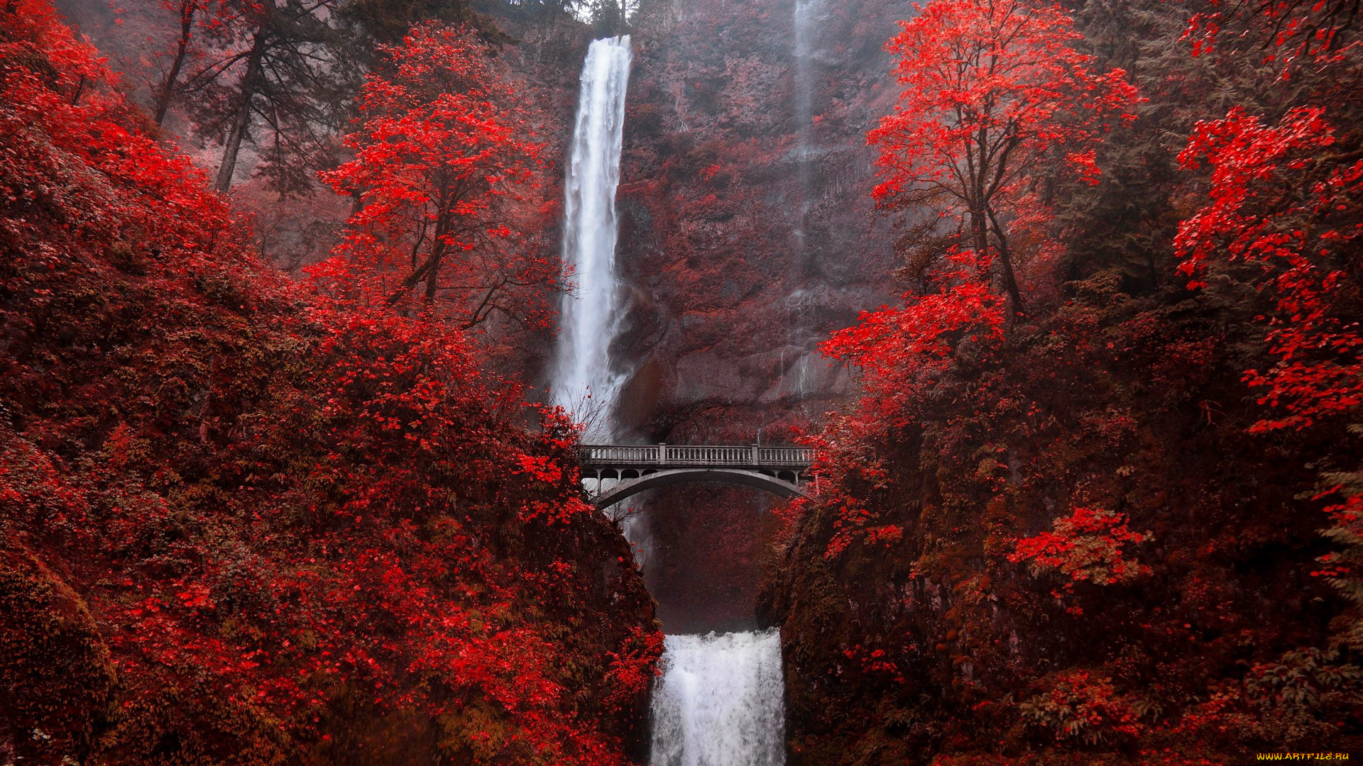 multnomah, falls, природа, водопады, multnomah, falls