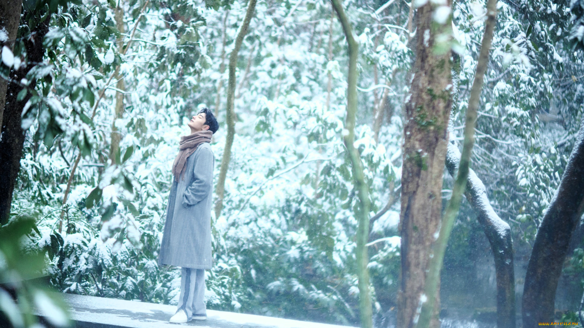 мужчины, xiao, zhan, актер, пальто, шарф, лес, снег