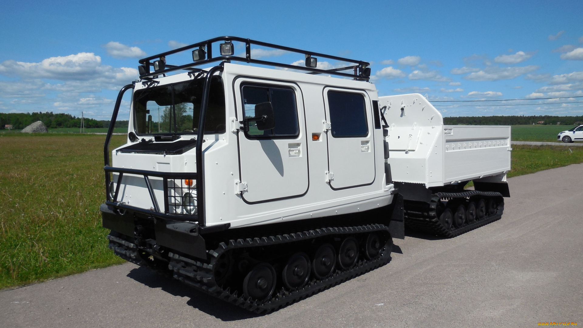 техника, вездеходы, снегоболотоход, hagglund, bv206, лось