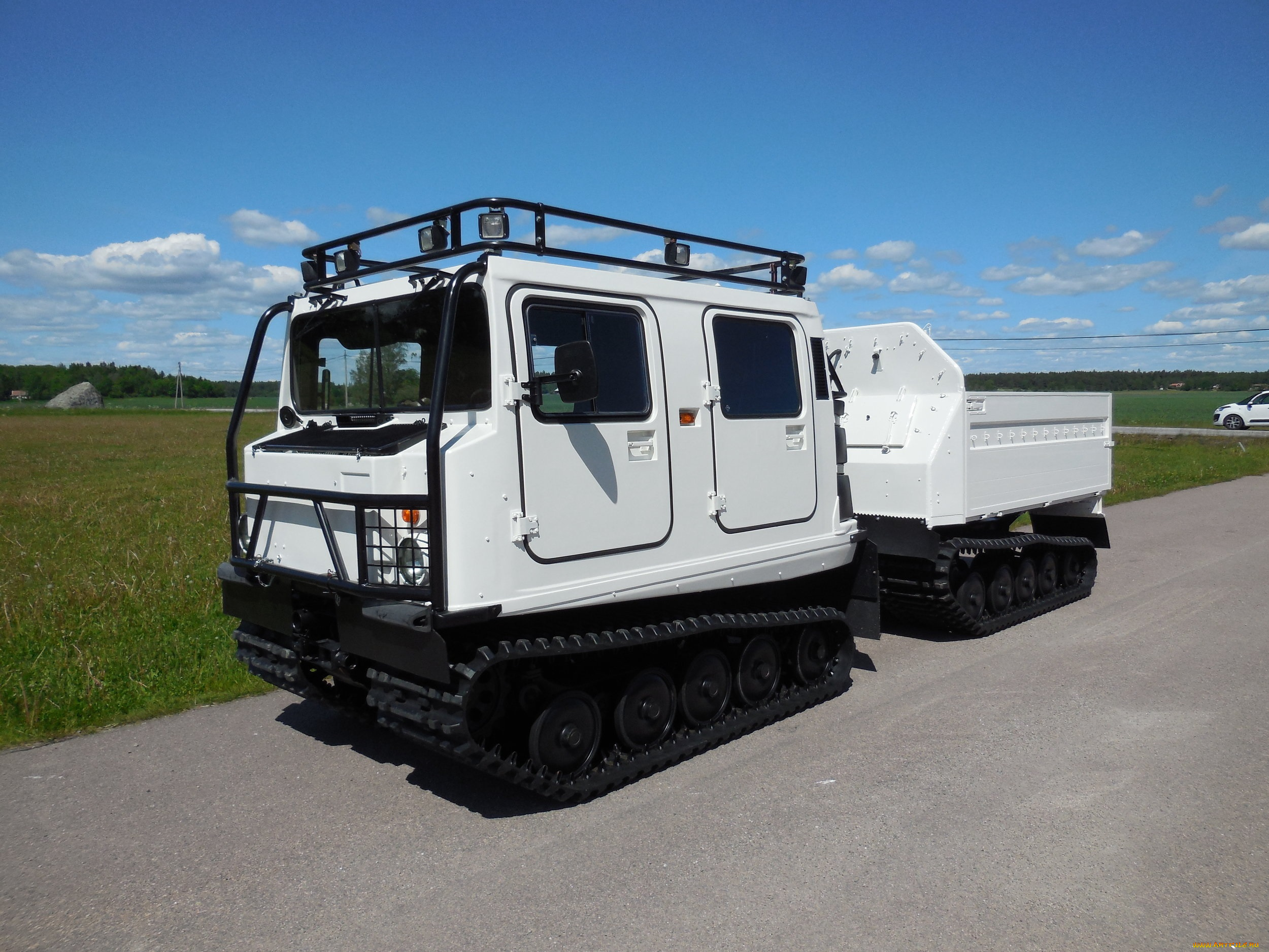 техника, вездеходы, снегоболотоход, hagglund, bv206, лось