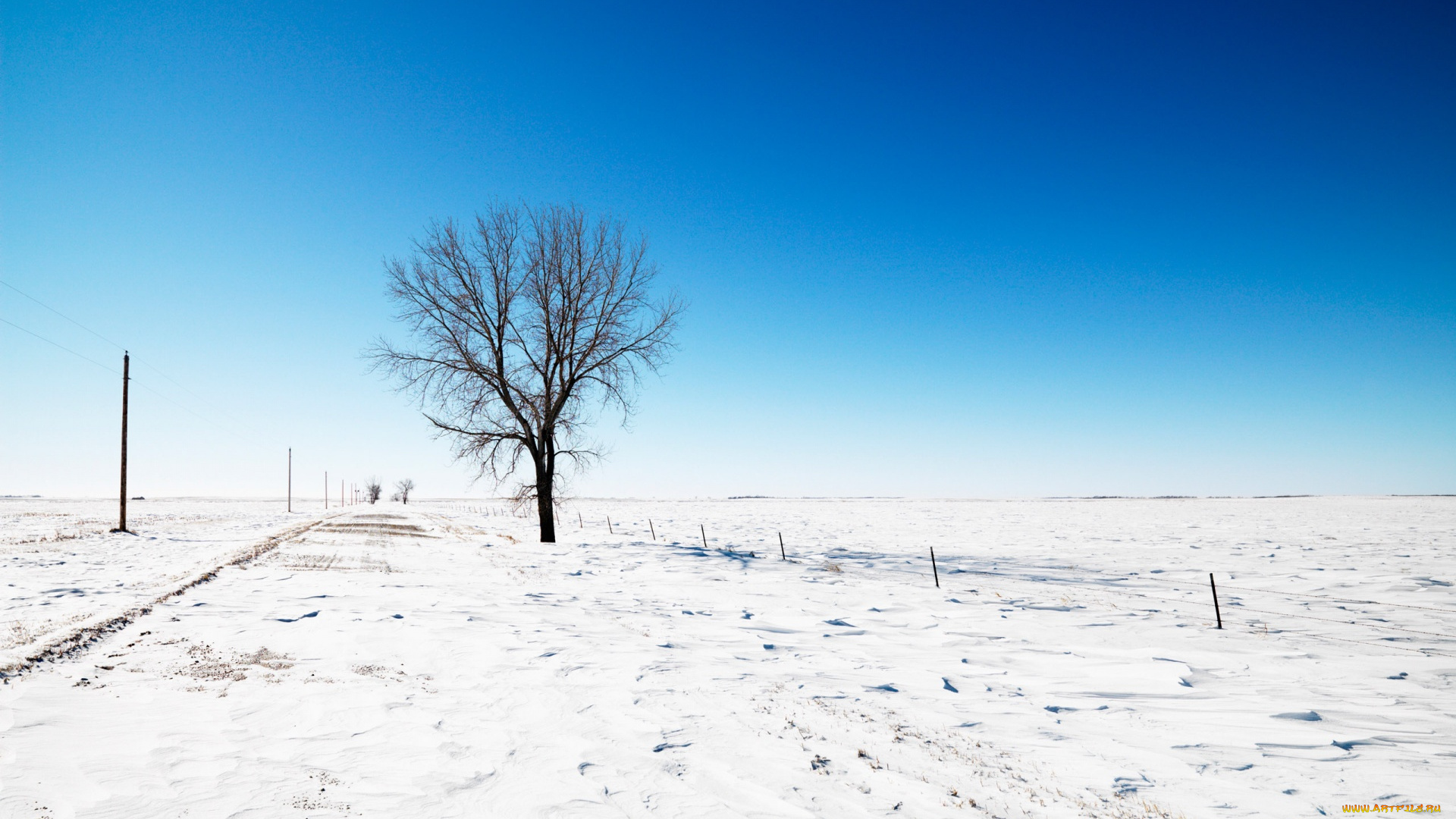 природа, зима, снег, дерево, столбы, поле
