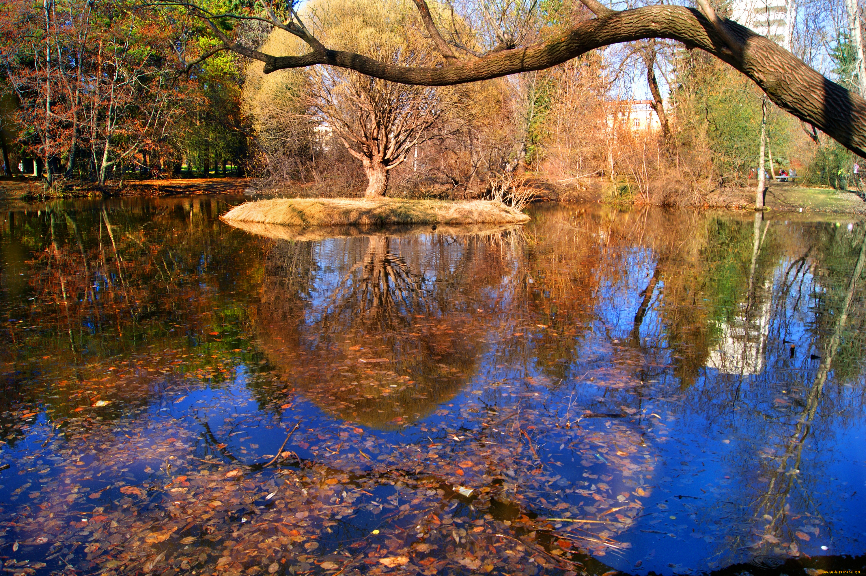 природа, парк, екатеринбург