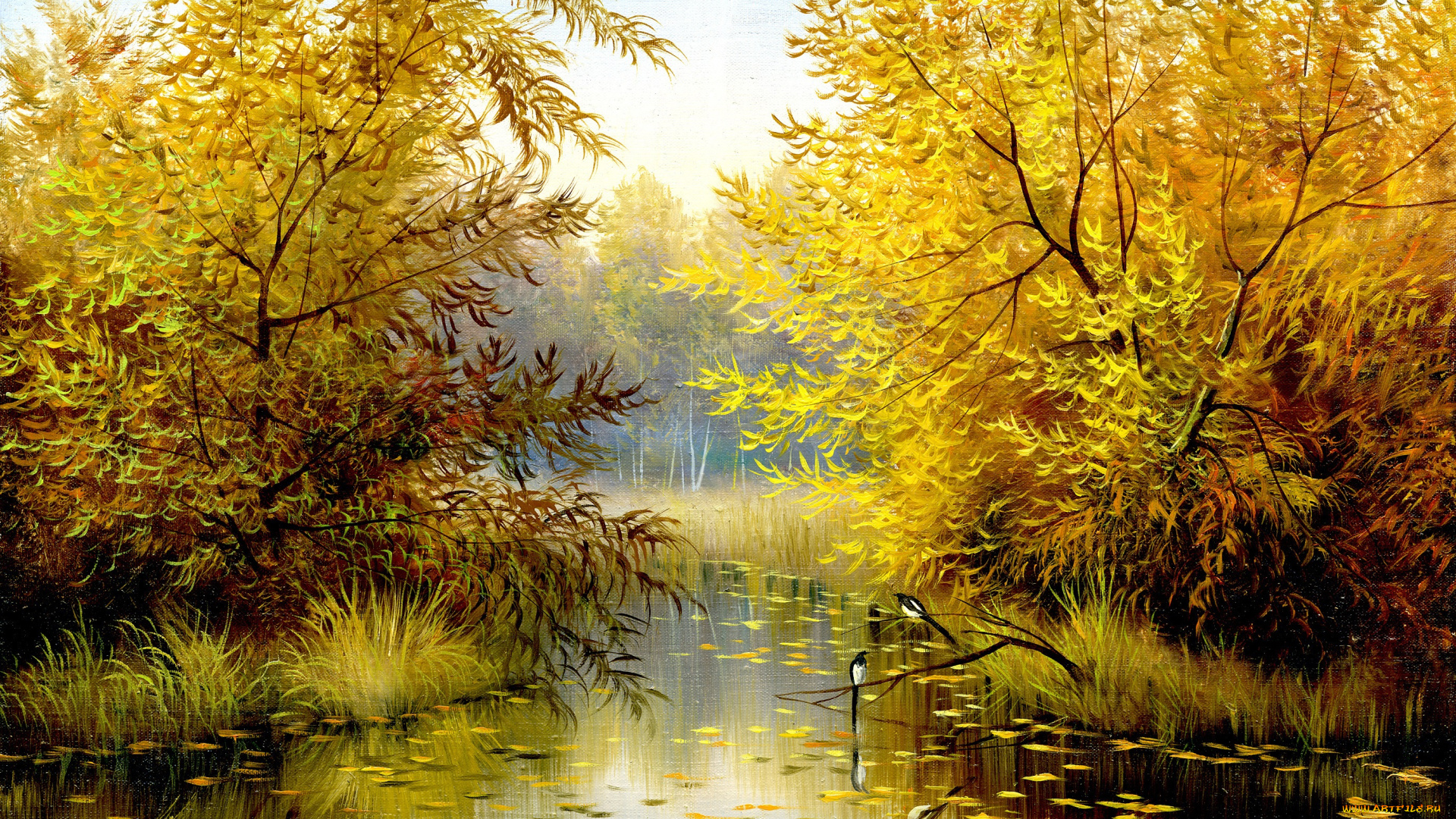 рисованные, природа, кусты, сороки, осень, лето, река, трава, деревья