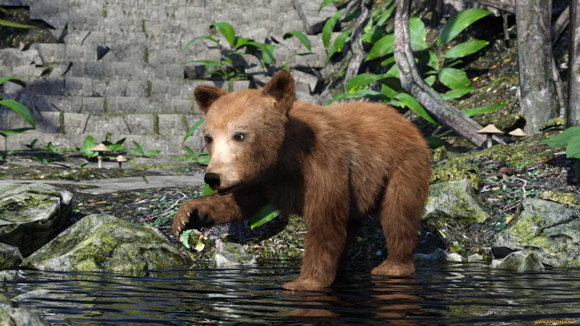 3д, графика, животные, , animals, медвежонок