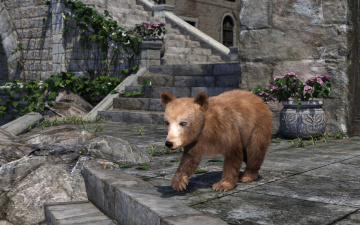 Картинка 3д+графика животные+ animals медвежонок
