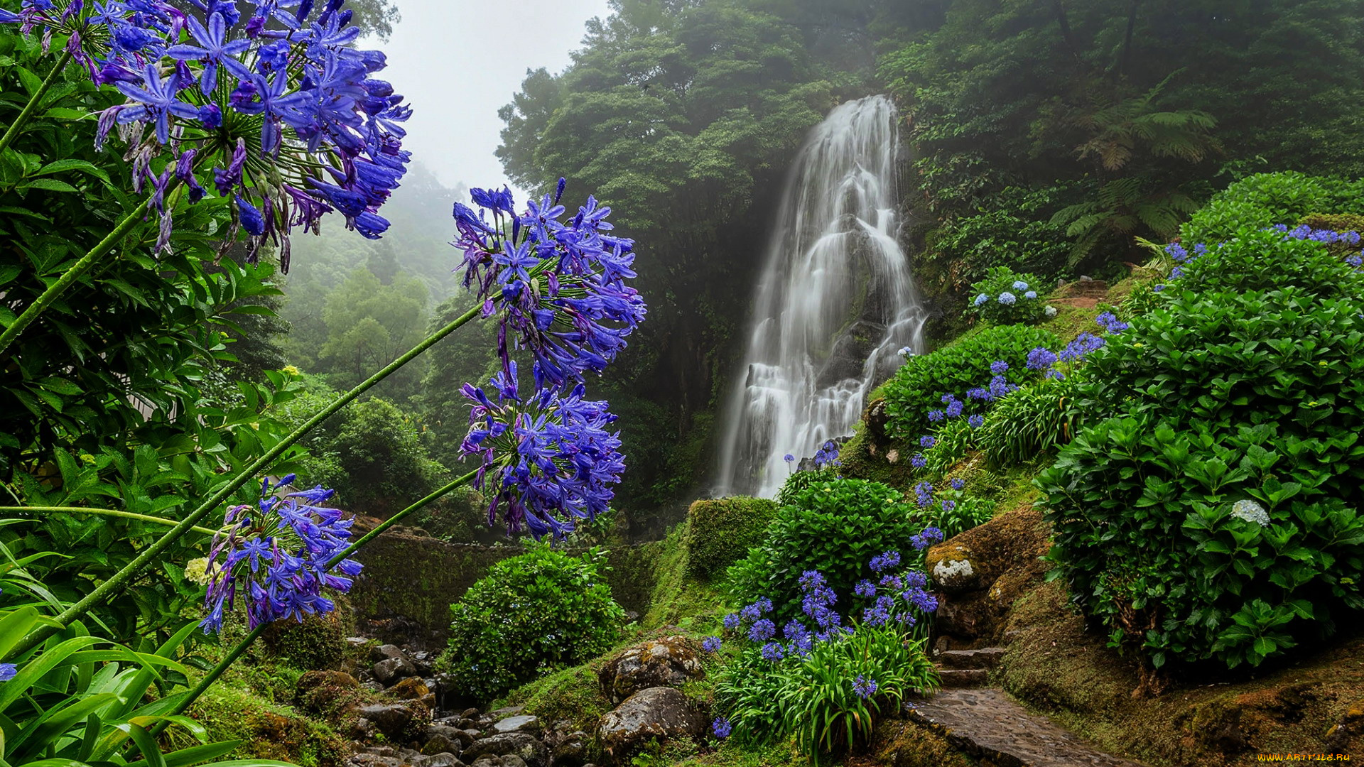 ribeira, dos, caldeiroes, natural, park, sao, miguel, island, portugal, природа, водопады, ribeira, dos, caldeiroes, natural, park, sao, miguel, island