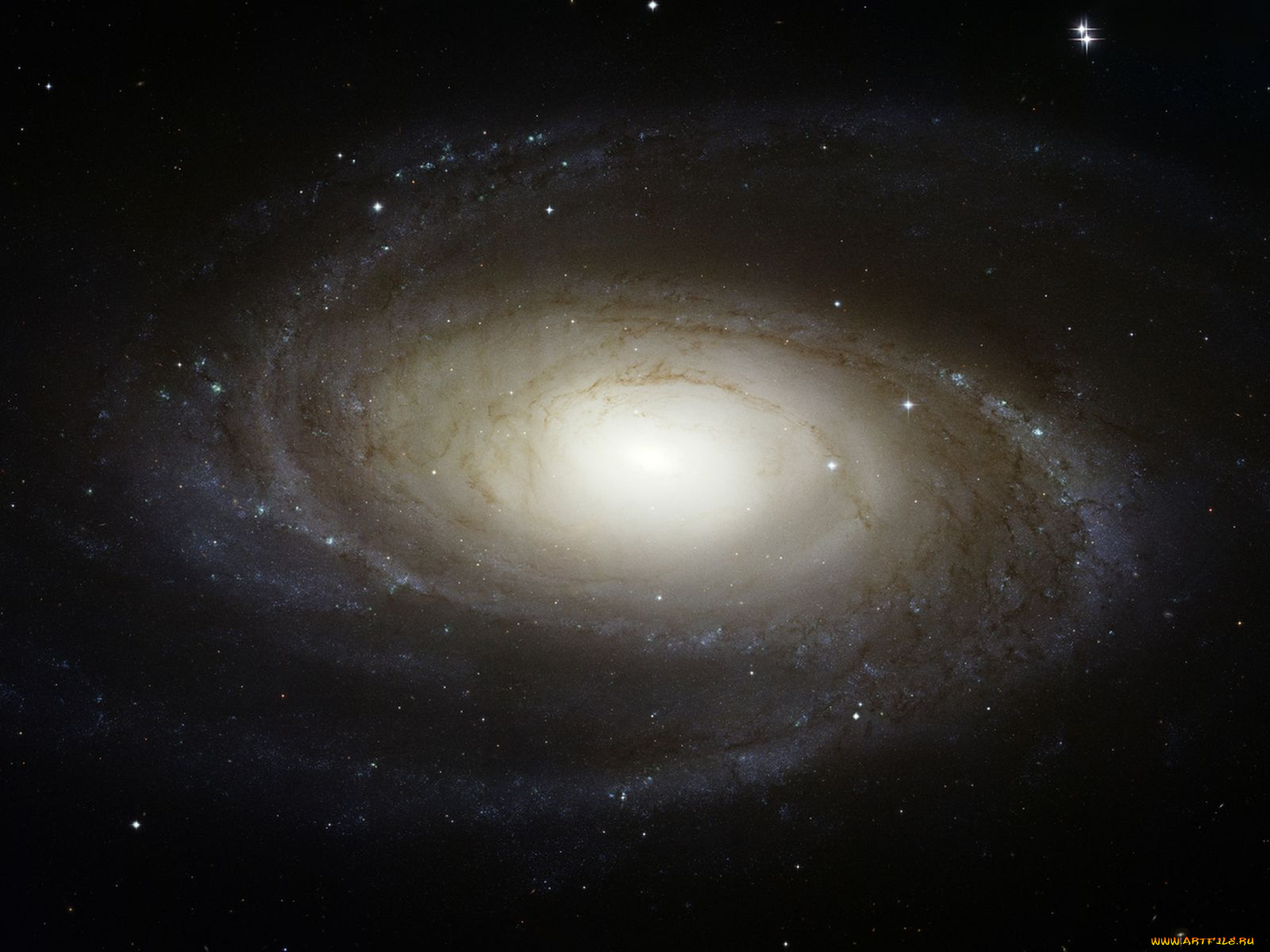 галактика, m81, космос, галактики, туманности