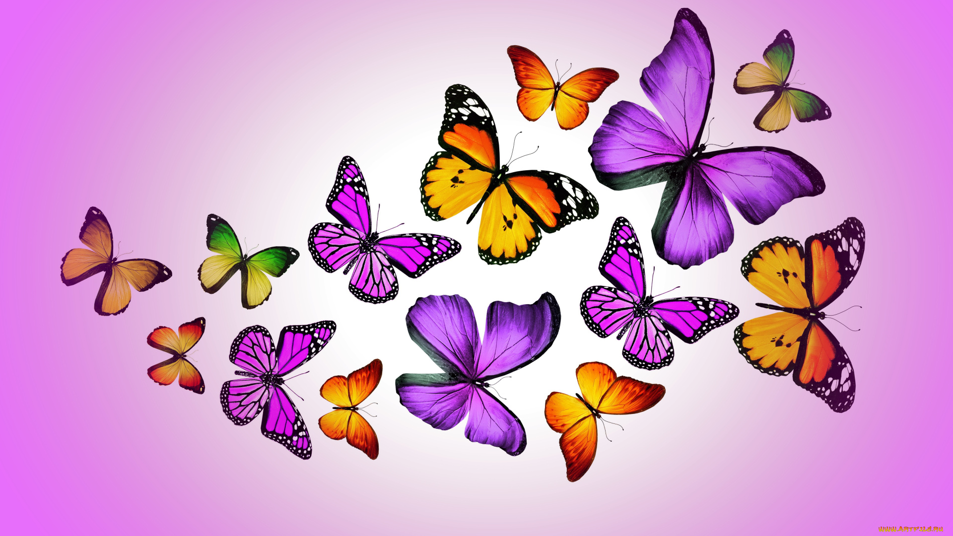 рисованные, животные, , бабочки, butterflies, design, by, marika, colorful, purple, бабочки