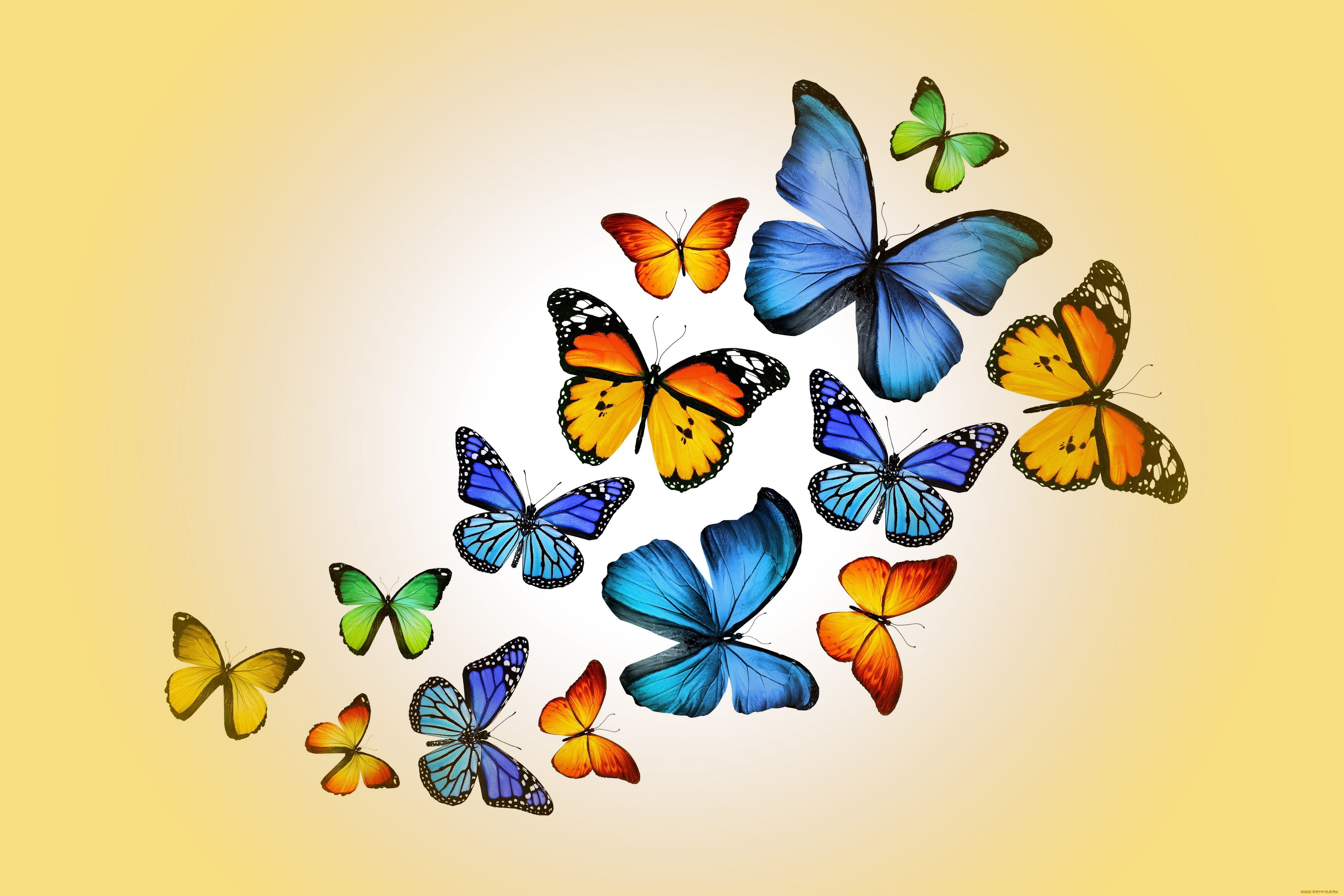 рисованные, животные, , бабочки, marika, design, butterflies, colorful, yellow, бабочки