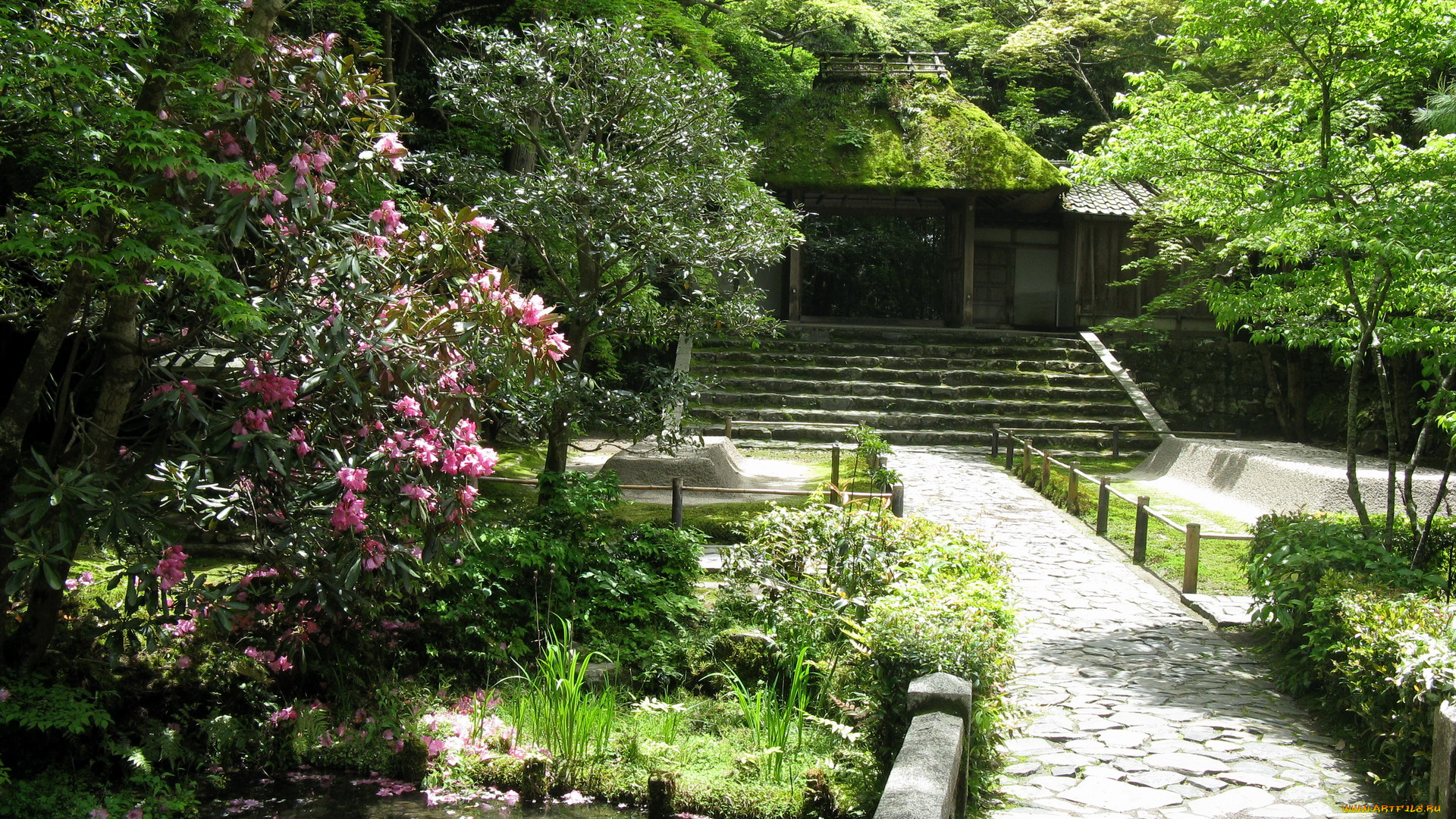 сад, honen, kyoto, природа, парк, , япония