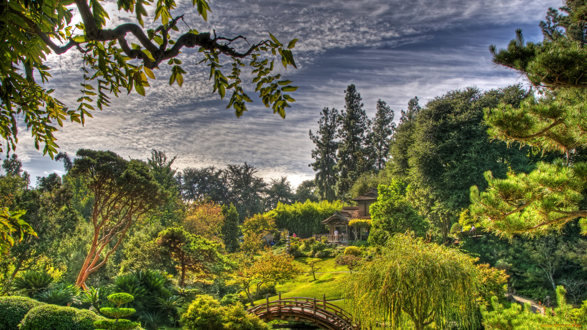 san, marino, california, usa, japanese, garden, природа, парк, мостик, растения, небо