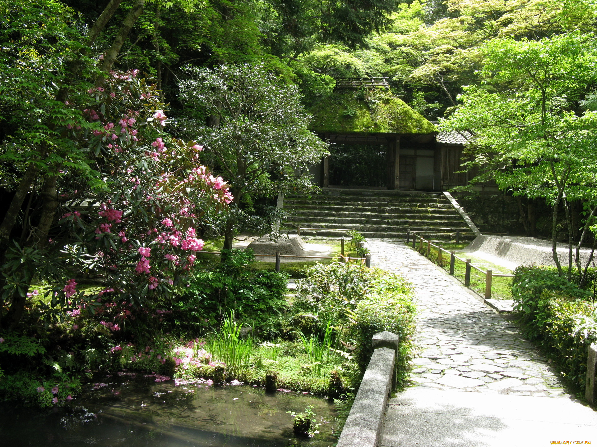 сад, honen, kyoto, природа, парк, , япония
