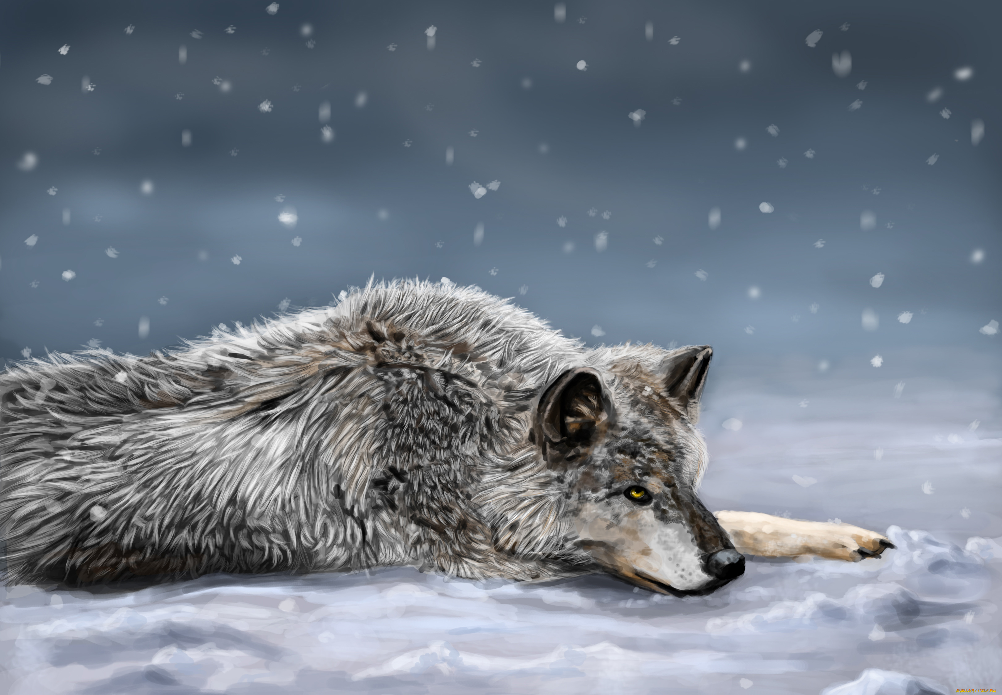 рисованные, животные, волки, снег