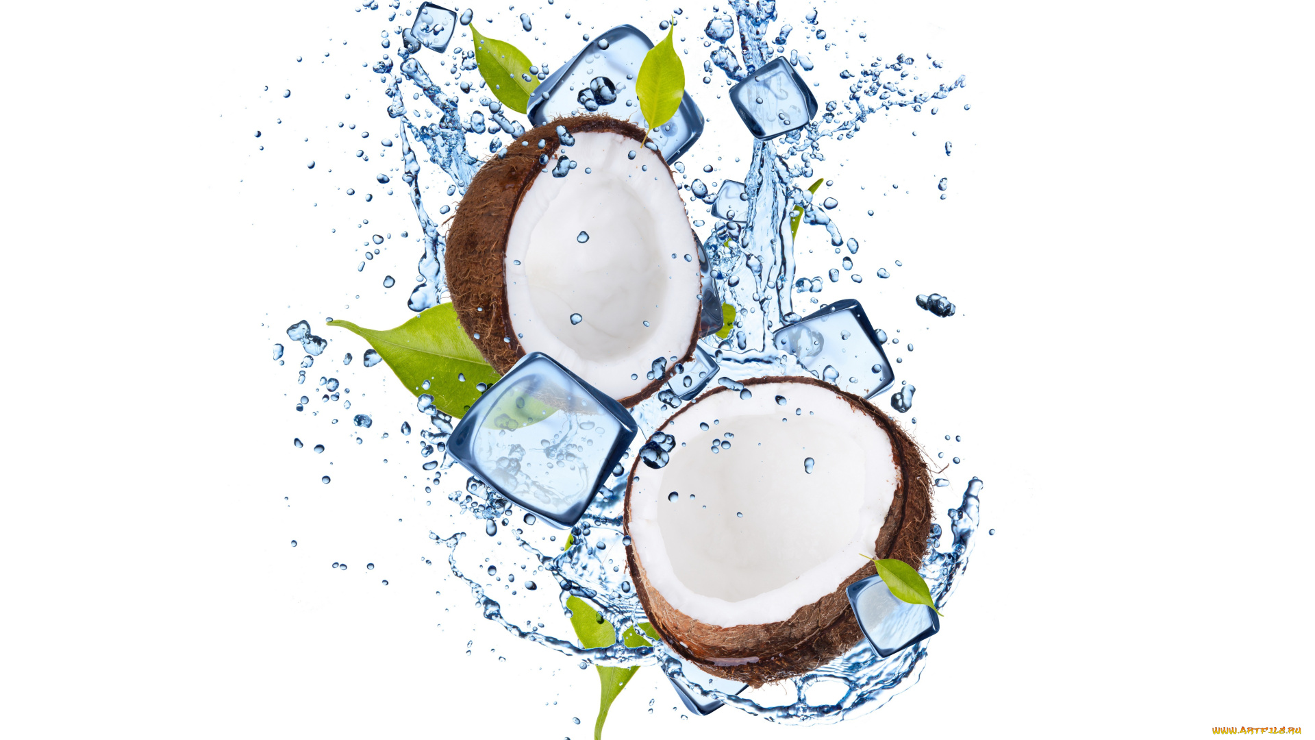 еда, кокос, вода, лед, листочки, water, ice, coconut, leaflets