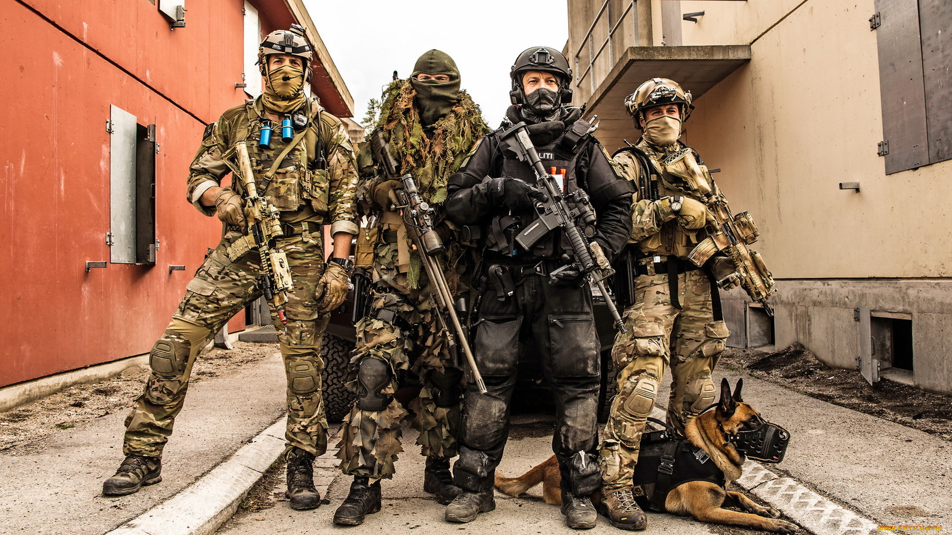 оружие, армия, спецназ, собака, norwegian, special, forces