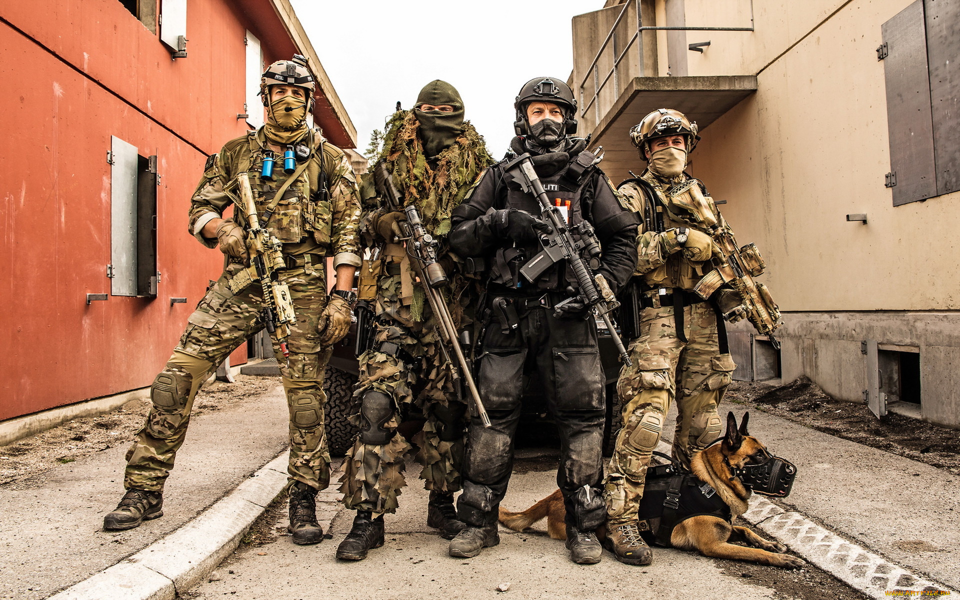 оружие, армия, спецназ, собака, norwegian, special, forces