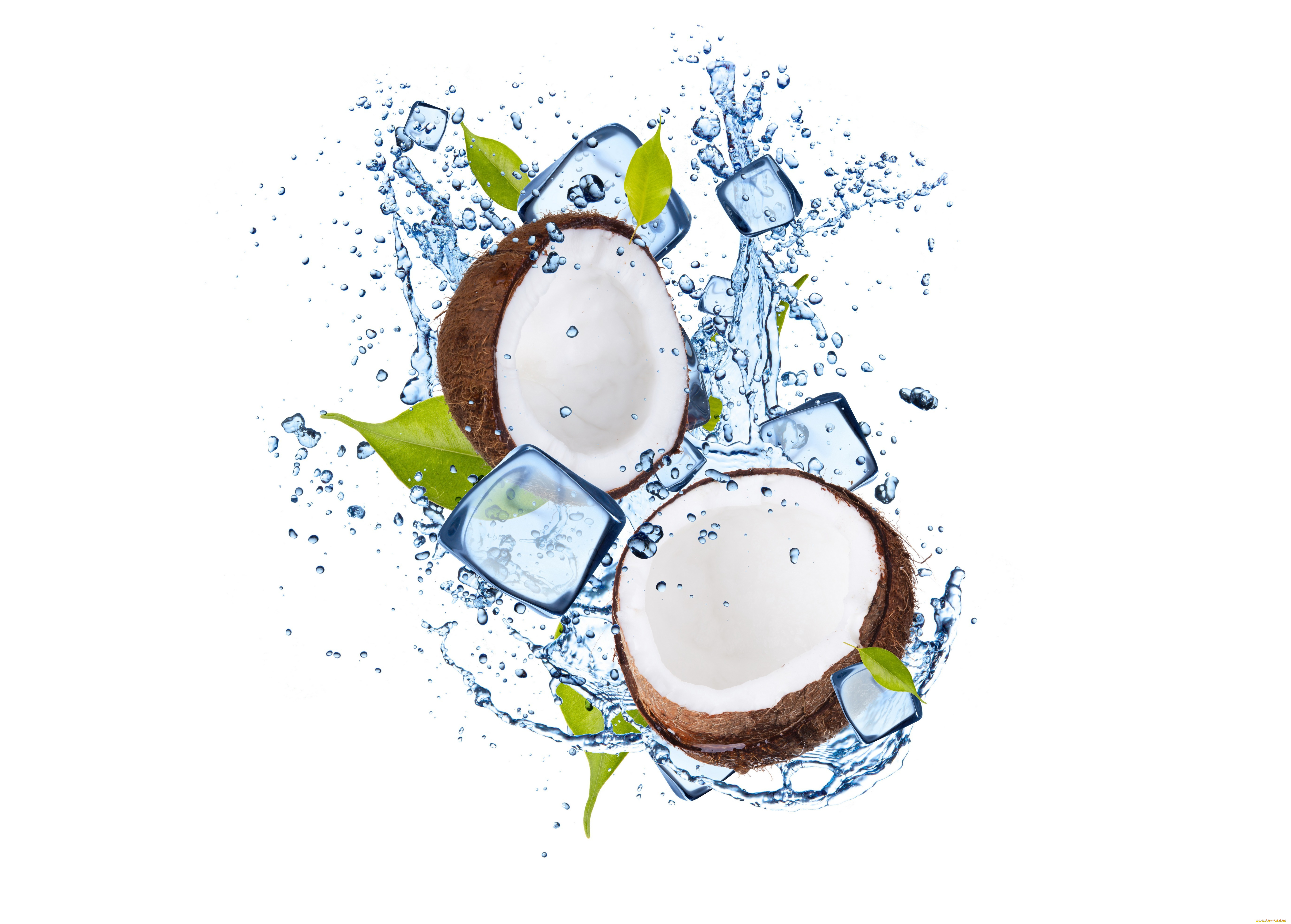 еда, кокос, вода, лед, листочки, water, ice, coconut, leaflets