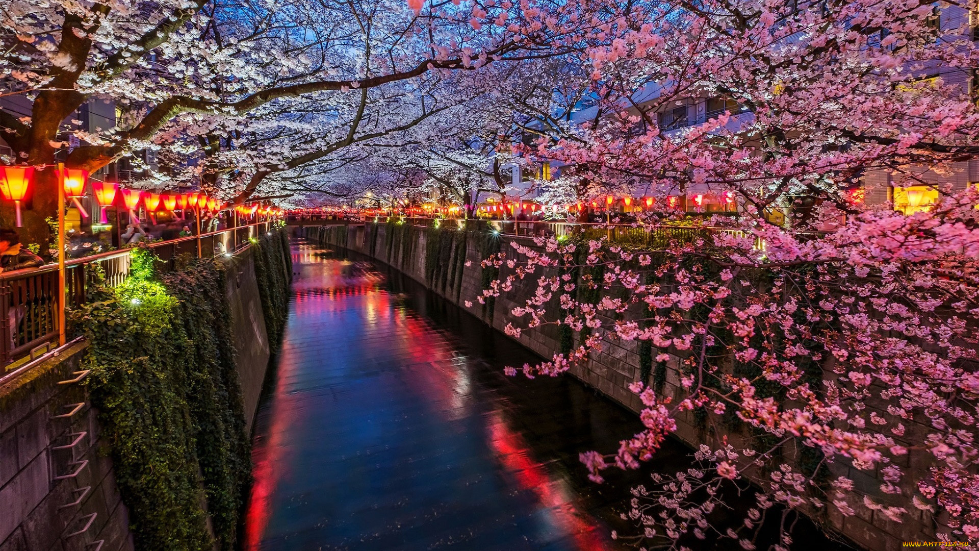 города, токио, , япония, парк, канал, цветущие, деревья
