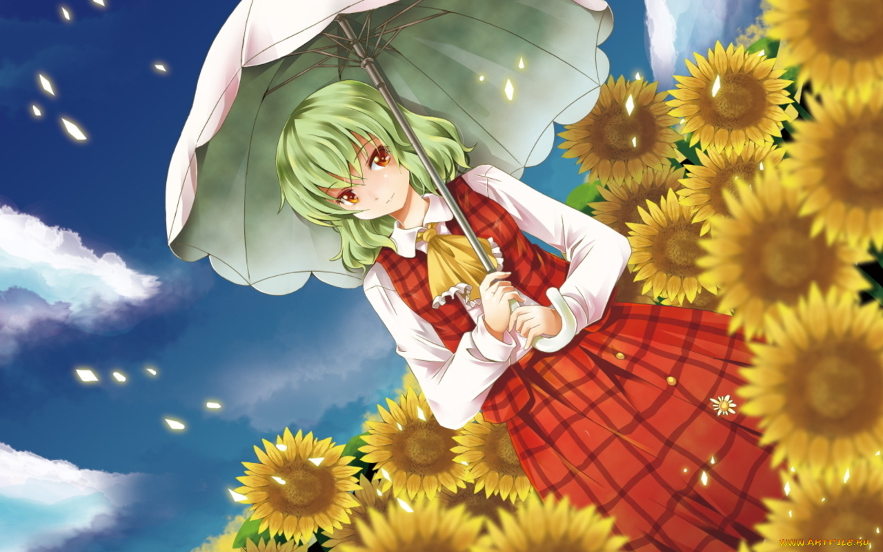 аниме, touhou