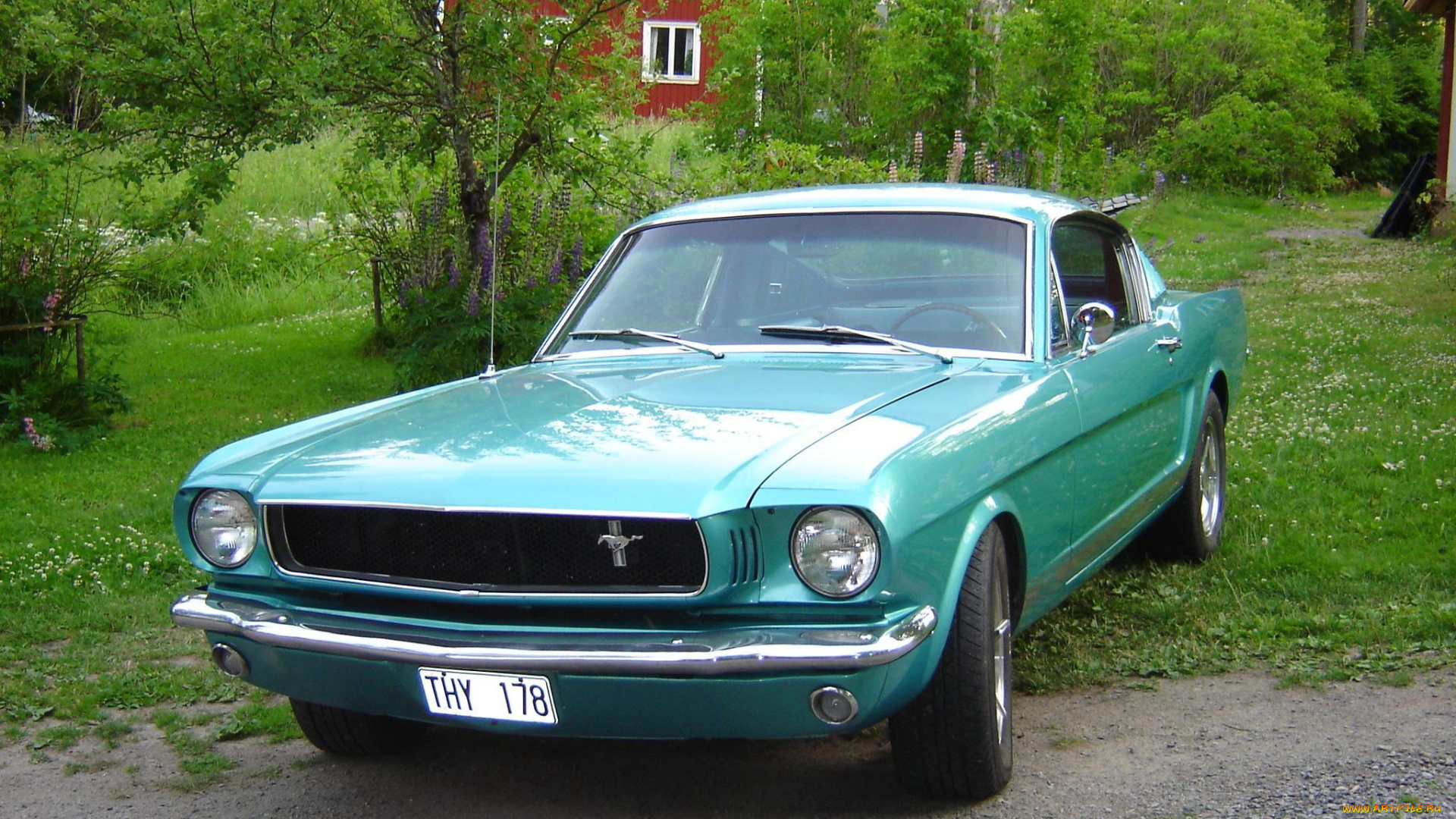 автомобили, mustang