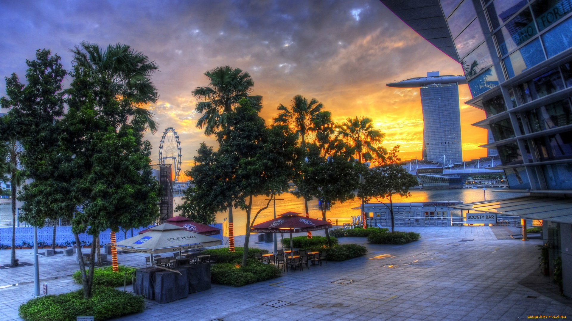 singapore, города, сингапур, деревья, закат