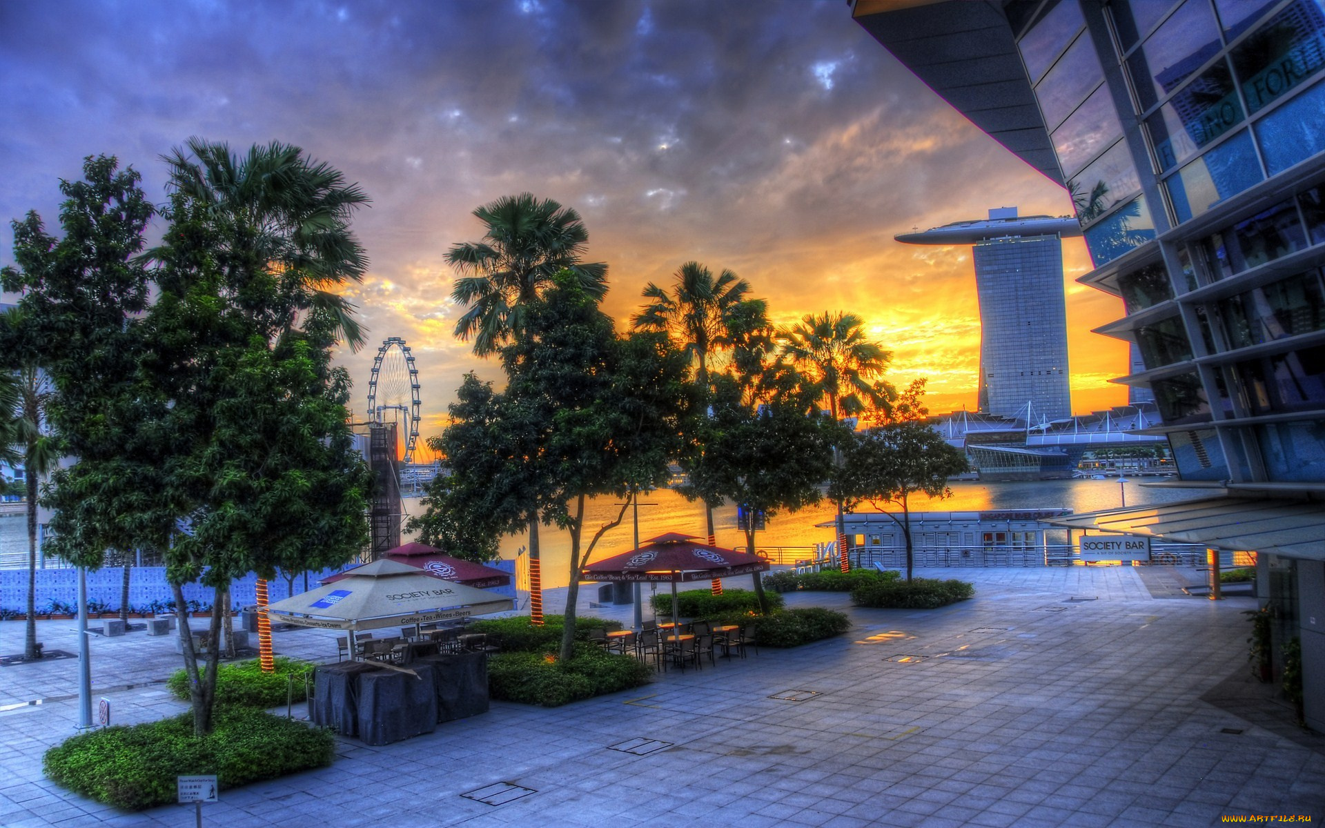 singapore, города, сингапур, деревья, закат