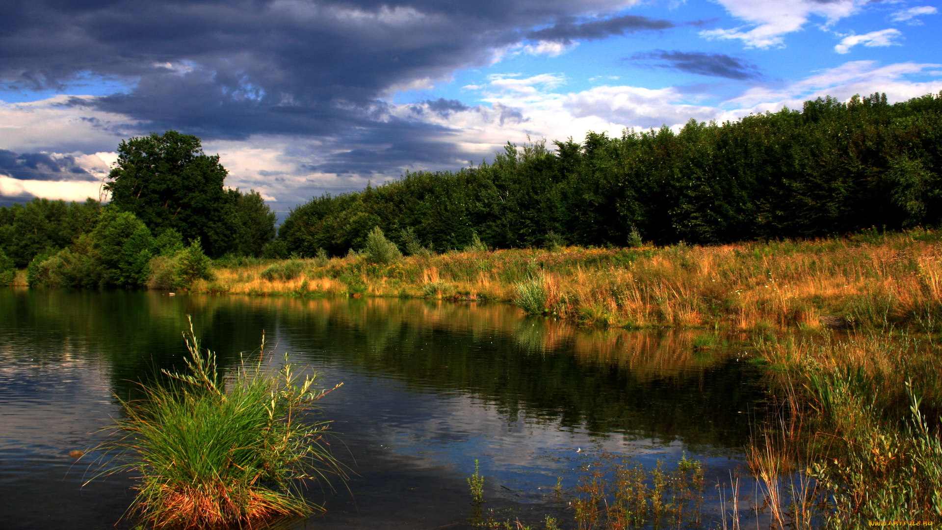 германия, блаубойрен, природа, реки, озера, лес, река, трава