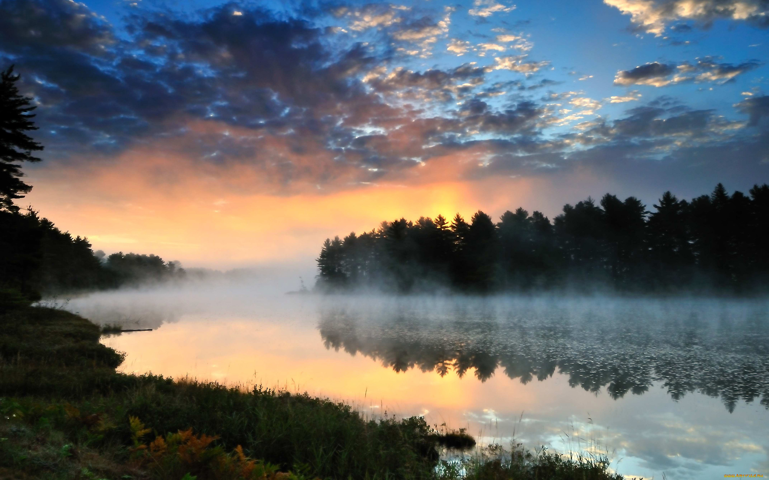 природа, реки, озера, река, лес, закат