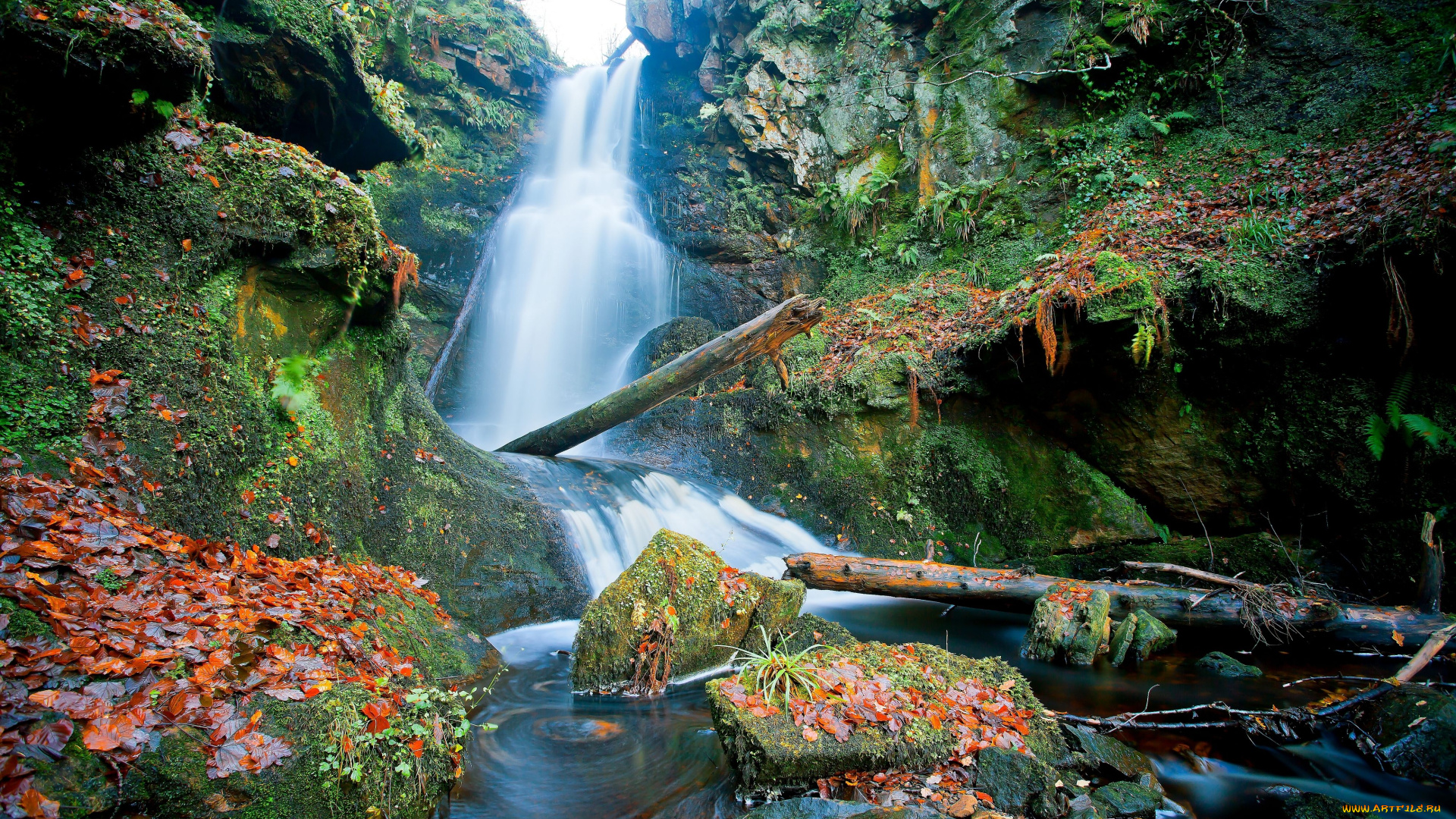 природа, водопады, шотландия, камни, листья, брёвна