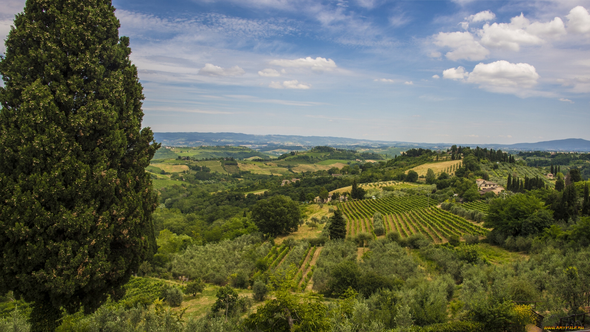 san, gimignano, tuscany, italy, природа, поля, сан-джиминьяно, тоскана, италия, пейзаж, панорама, деревья