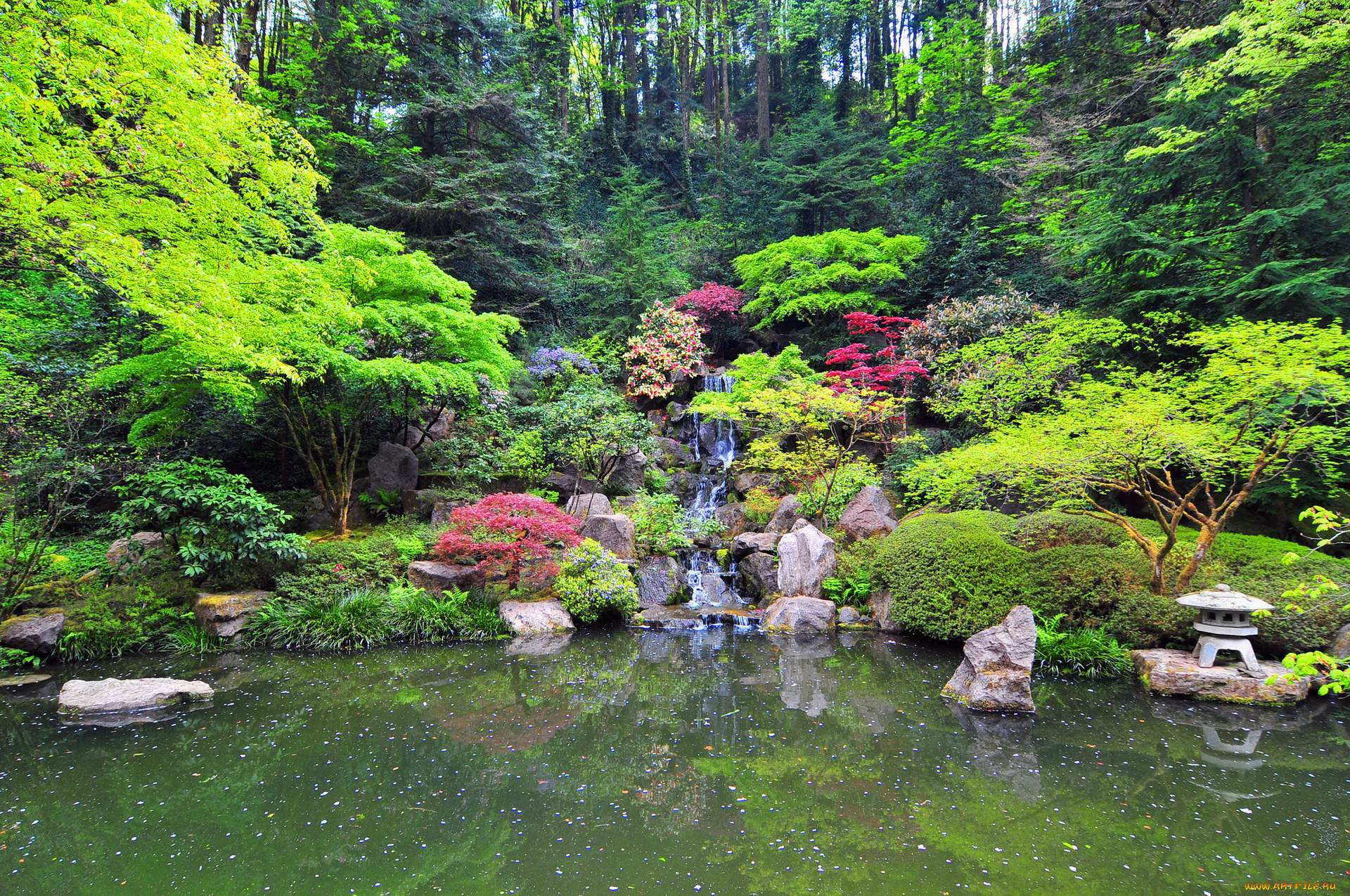 portland, japanese, garden, природа, парк, водоем, водопад, цветы, камешки, растения