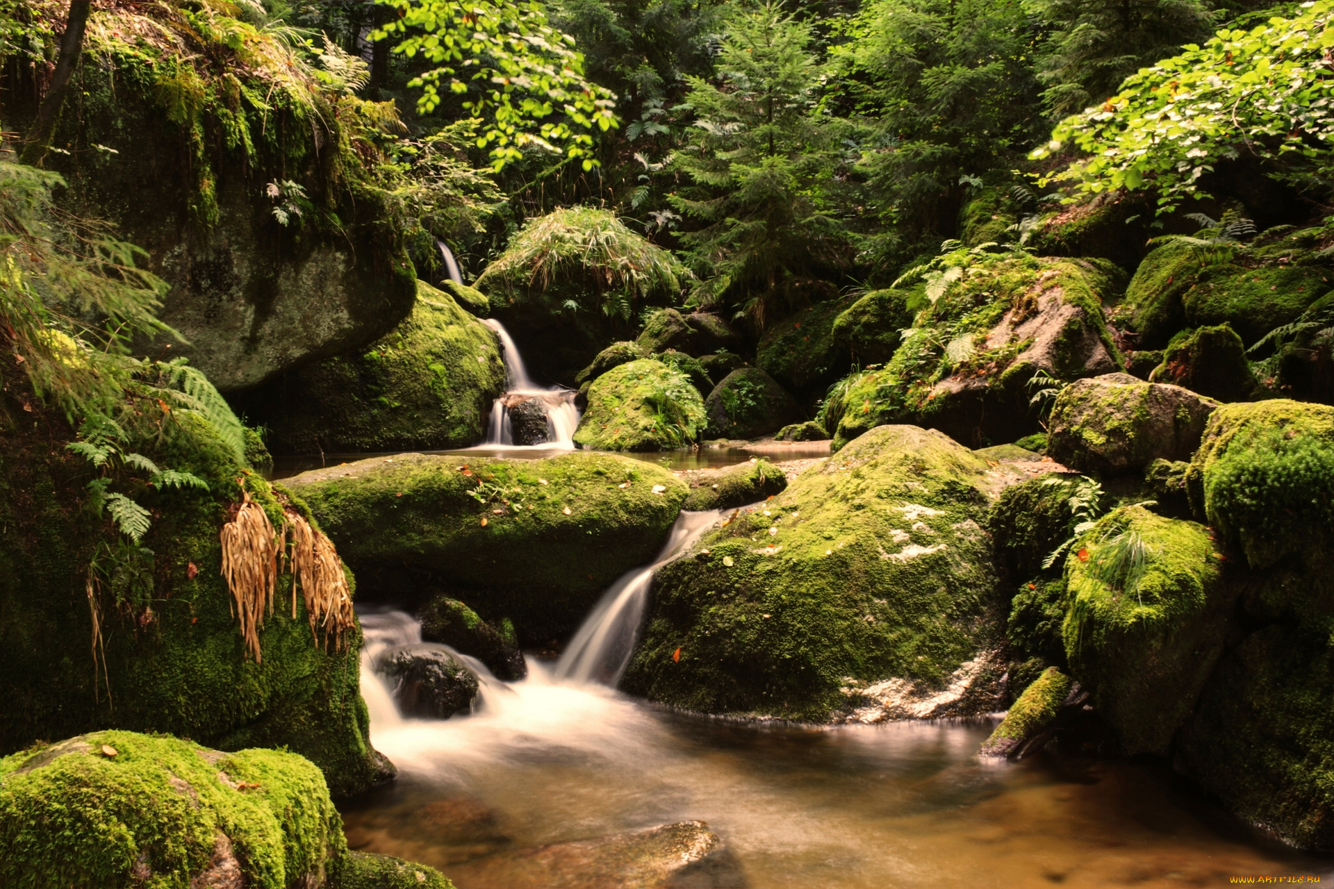 black, forest, baden, w&, 252, rttemberg, germany, природа, реки, озера, baden-wurttemberg, шварцвальд, германия, лес, камни, мох, каскад, ручей