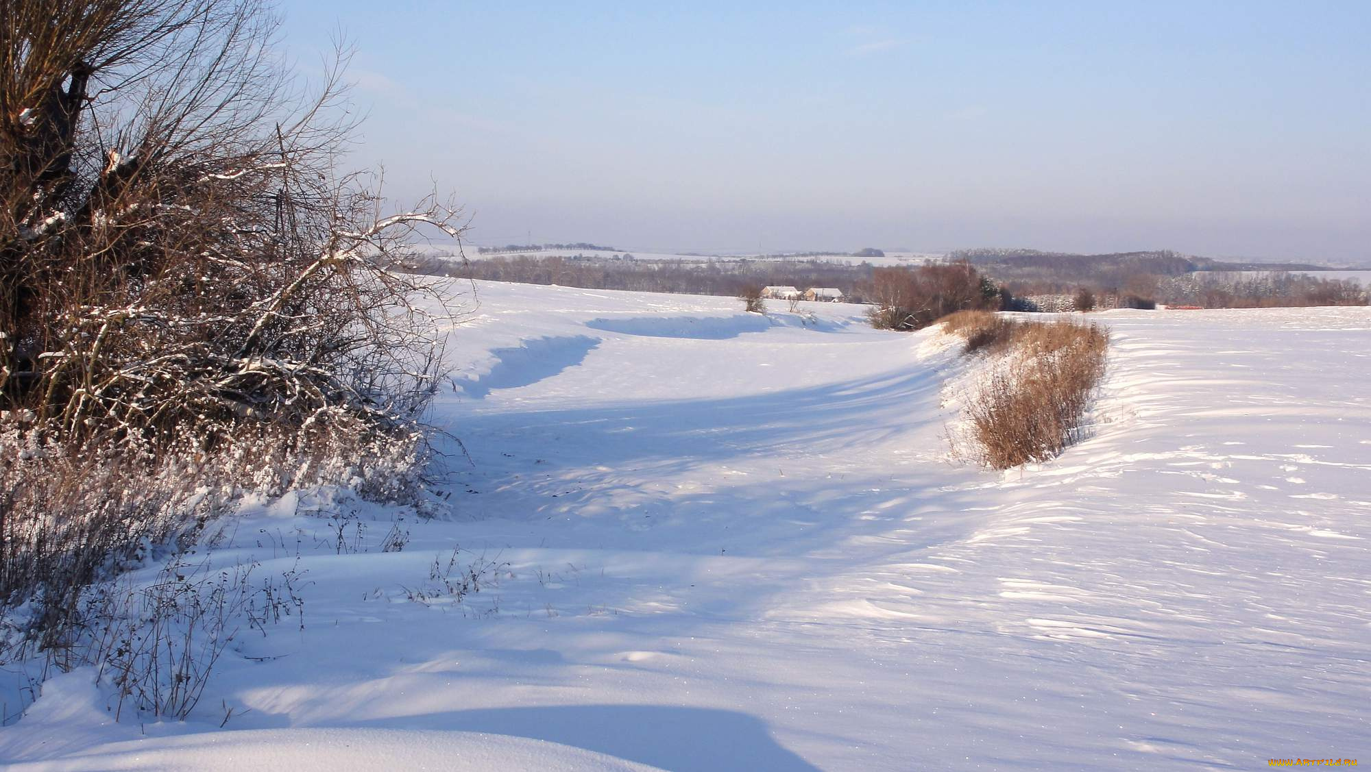 природа, зима, поле, снег, деревья