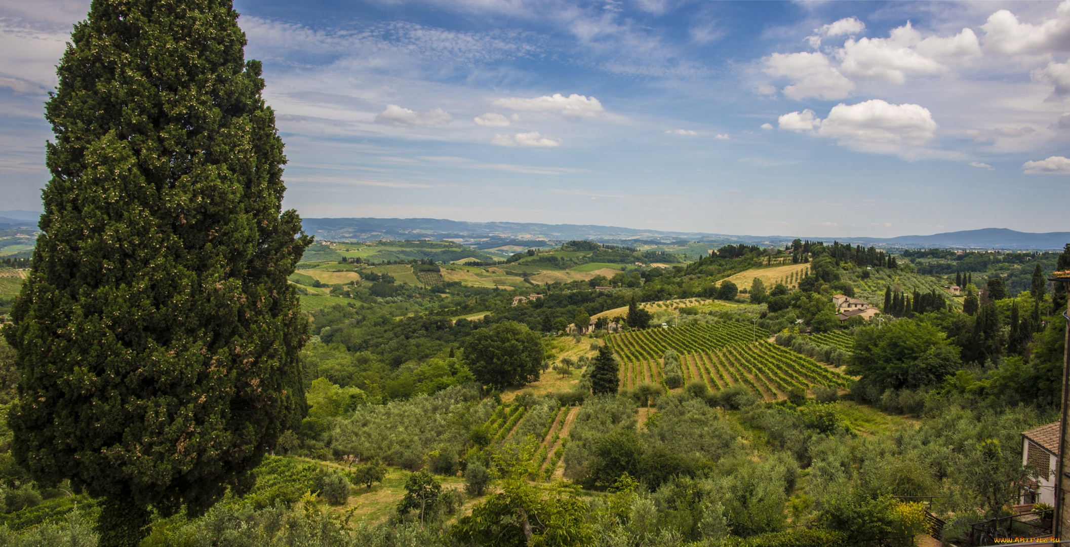 san, gimignano, tuscany, italy, природа, поля, сан-джиминьяно, тоскана, италия, пейзаж, панорама, деревья