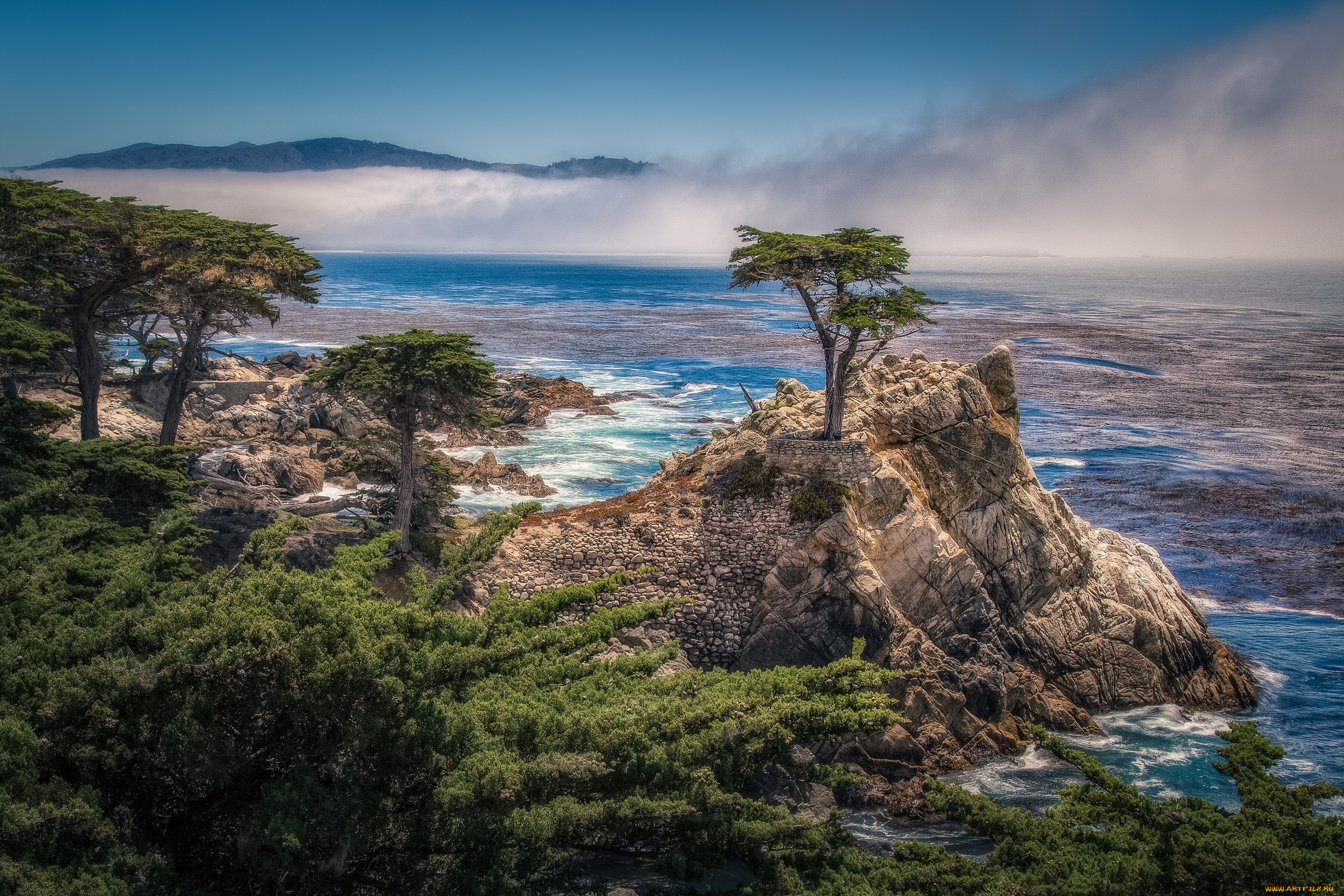 pebble, beach, california, природа, побережье, the, lone, cypress, carmel, bay, пеббл, бич, калифорния, одинокий, кипарис, скала