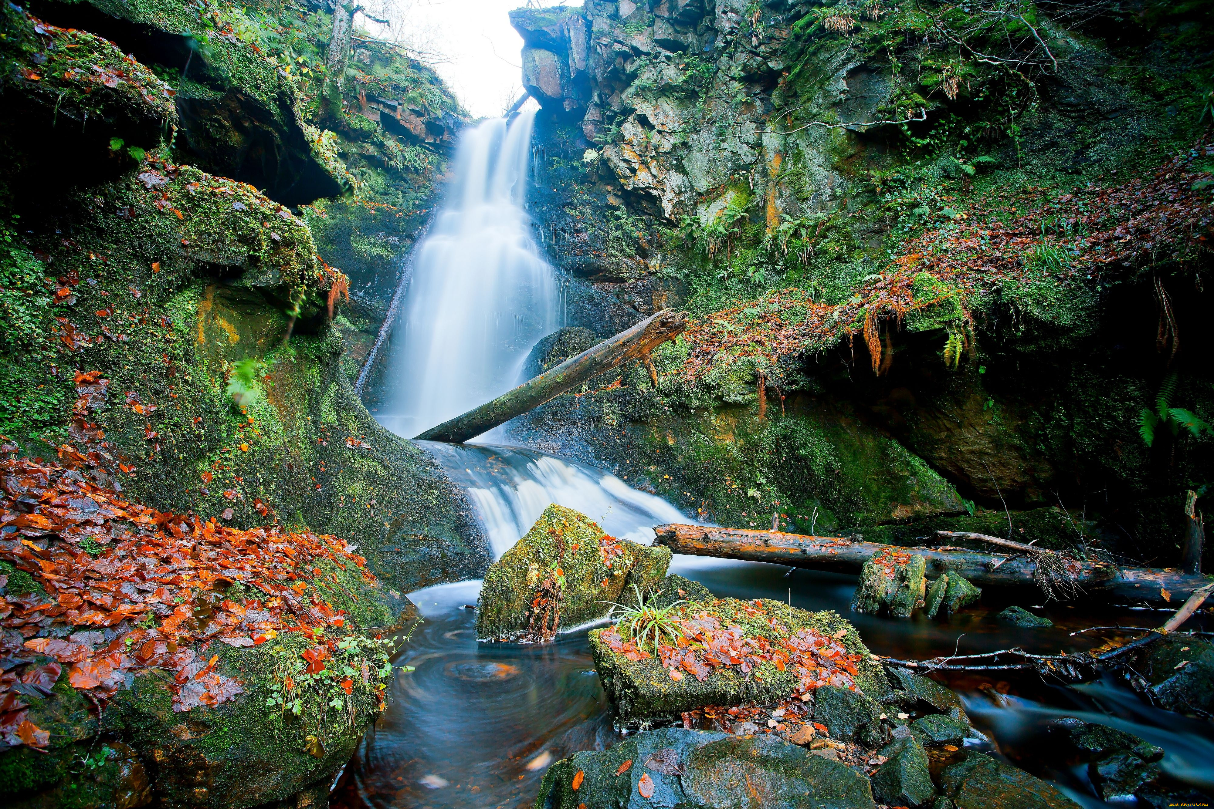 природа, водопады, шотландия, камни, листья, брёвна