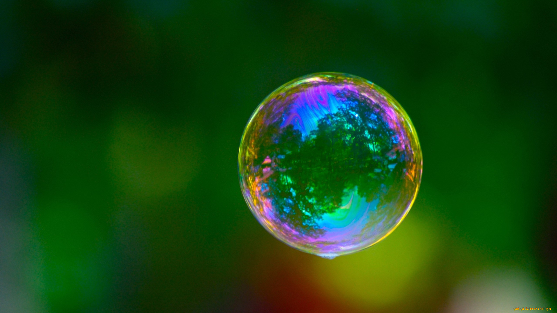 разное, -, другое, пузырь, мыльный, полет, зелень, спектр, цвета