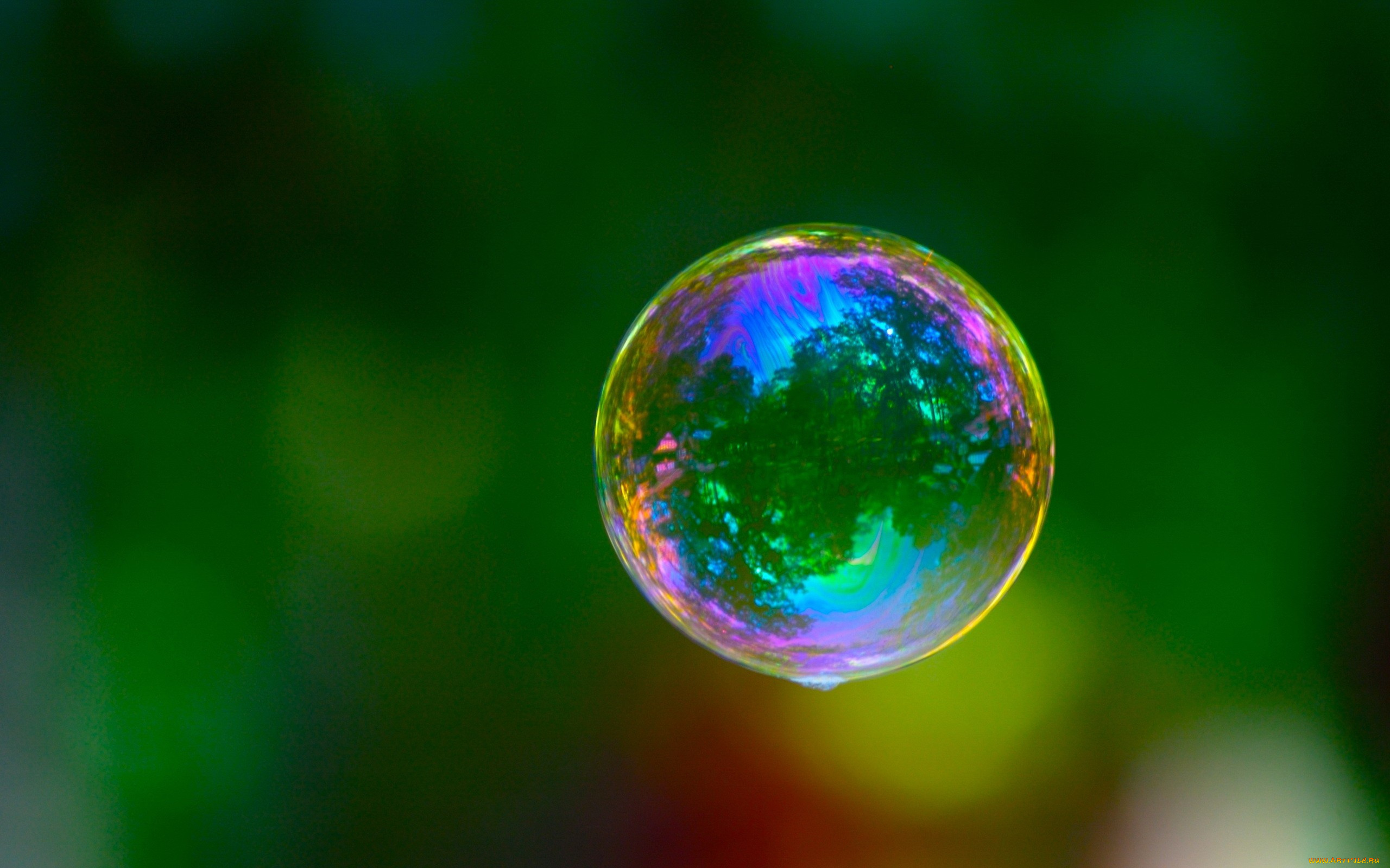 разное, -, другое, пузырь, мыльный, полет, зелень, спектр, цвета