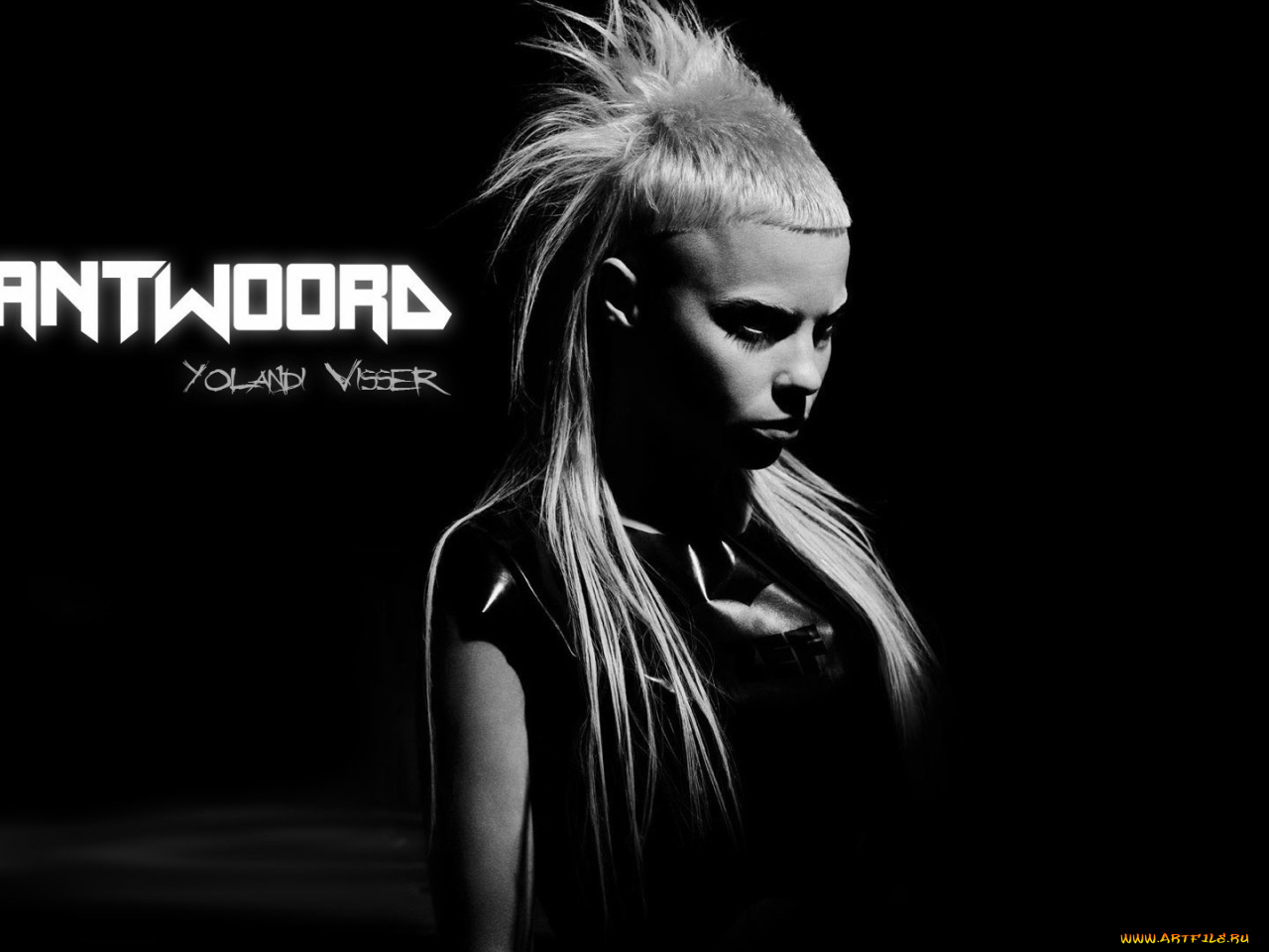 Музыка die antwoord