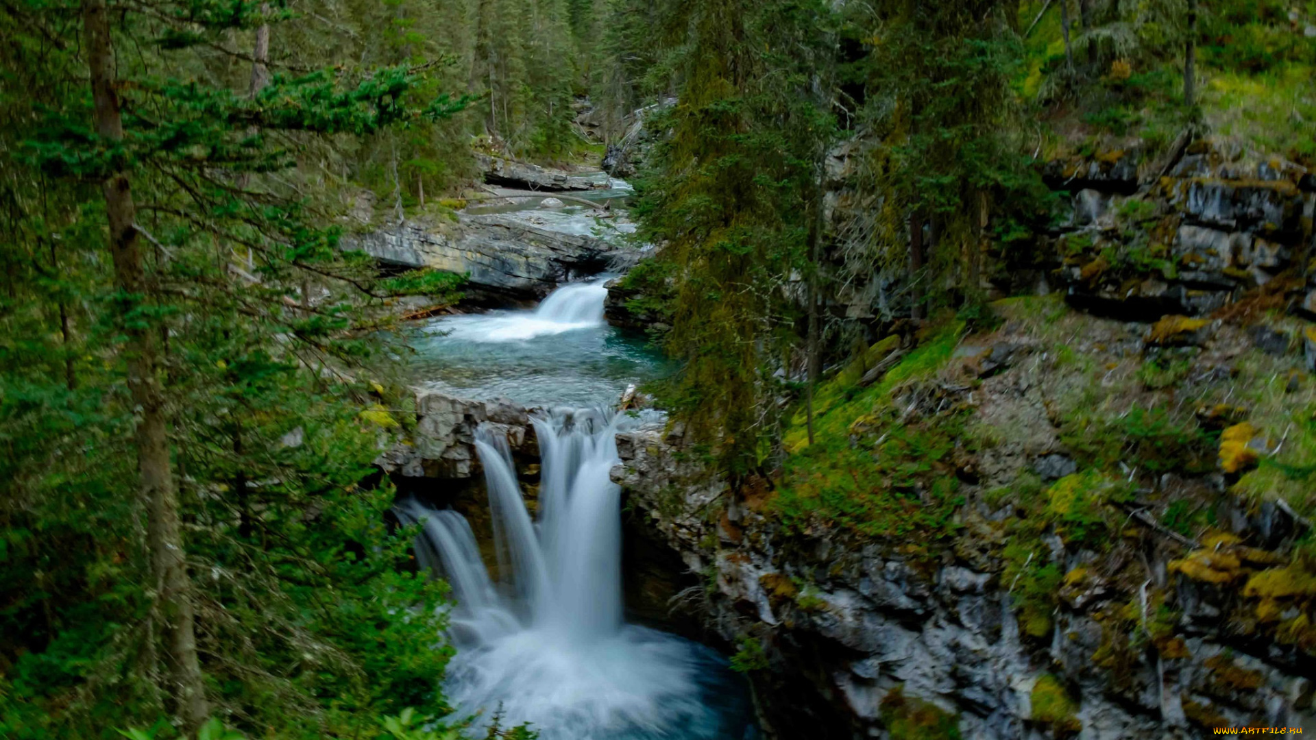 природа, водопады, водопад, река, лес