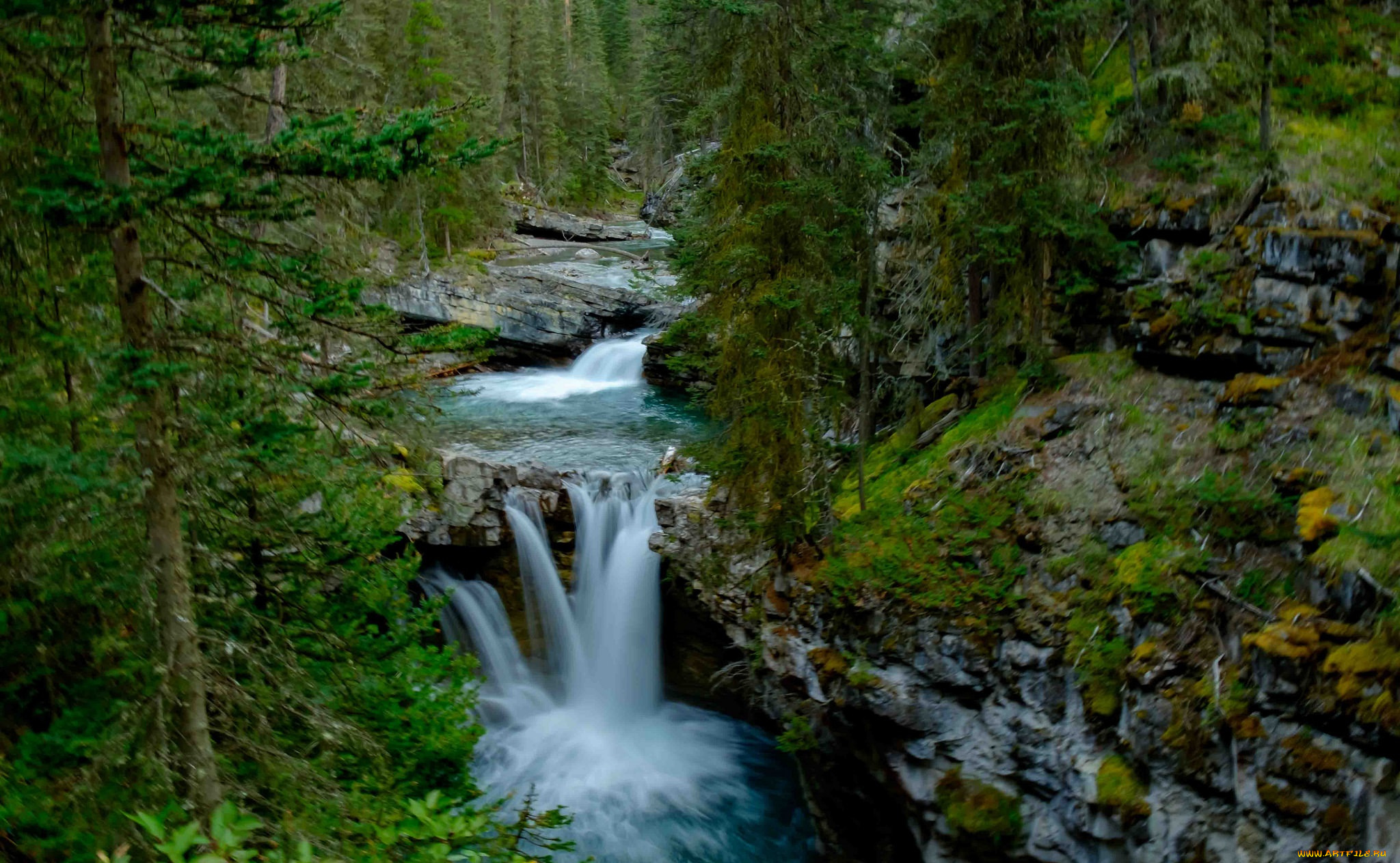 природа, водопады, водопад, река, лес