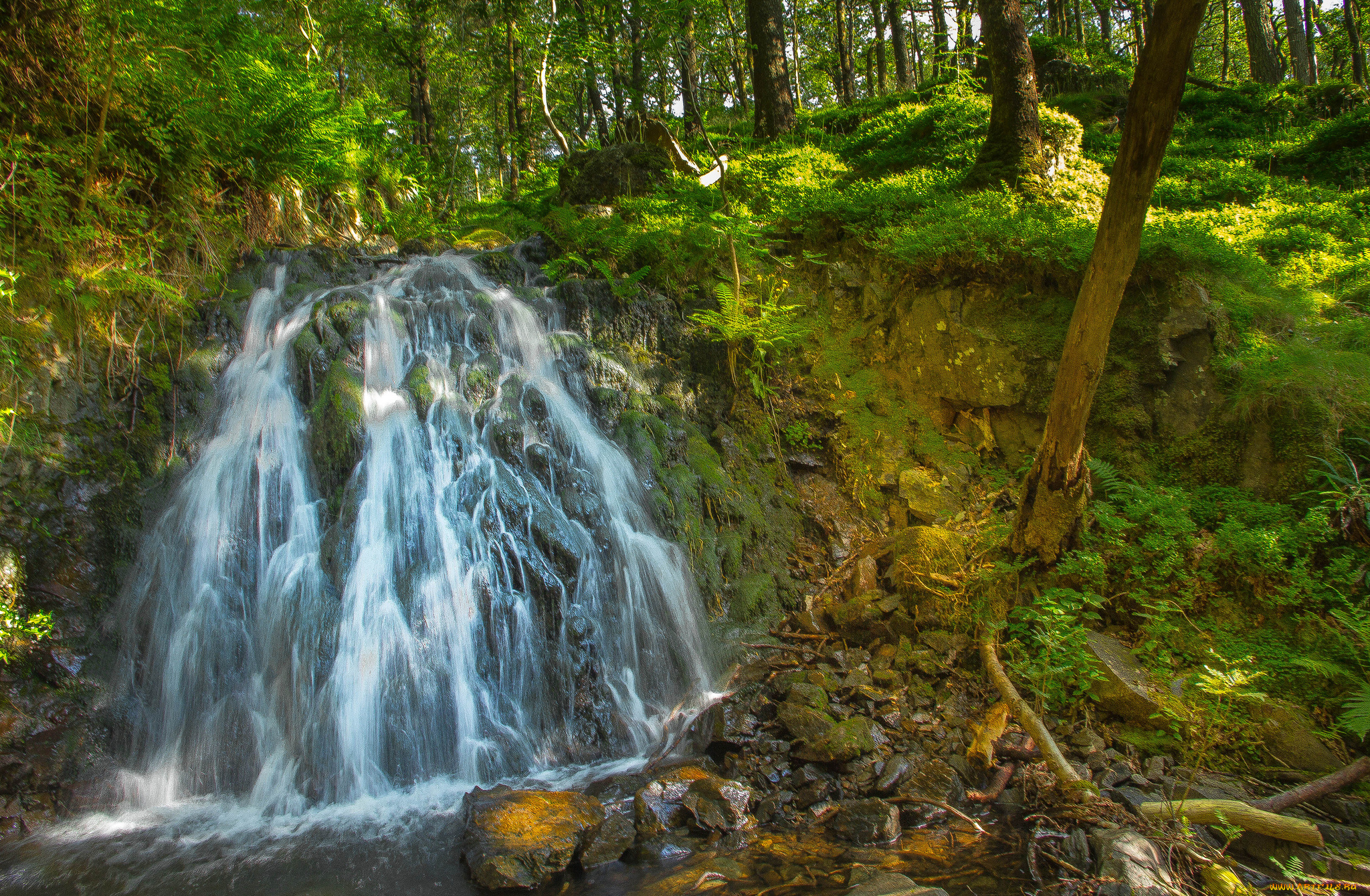 природа, водопады, водопад, река, лес