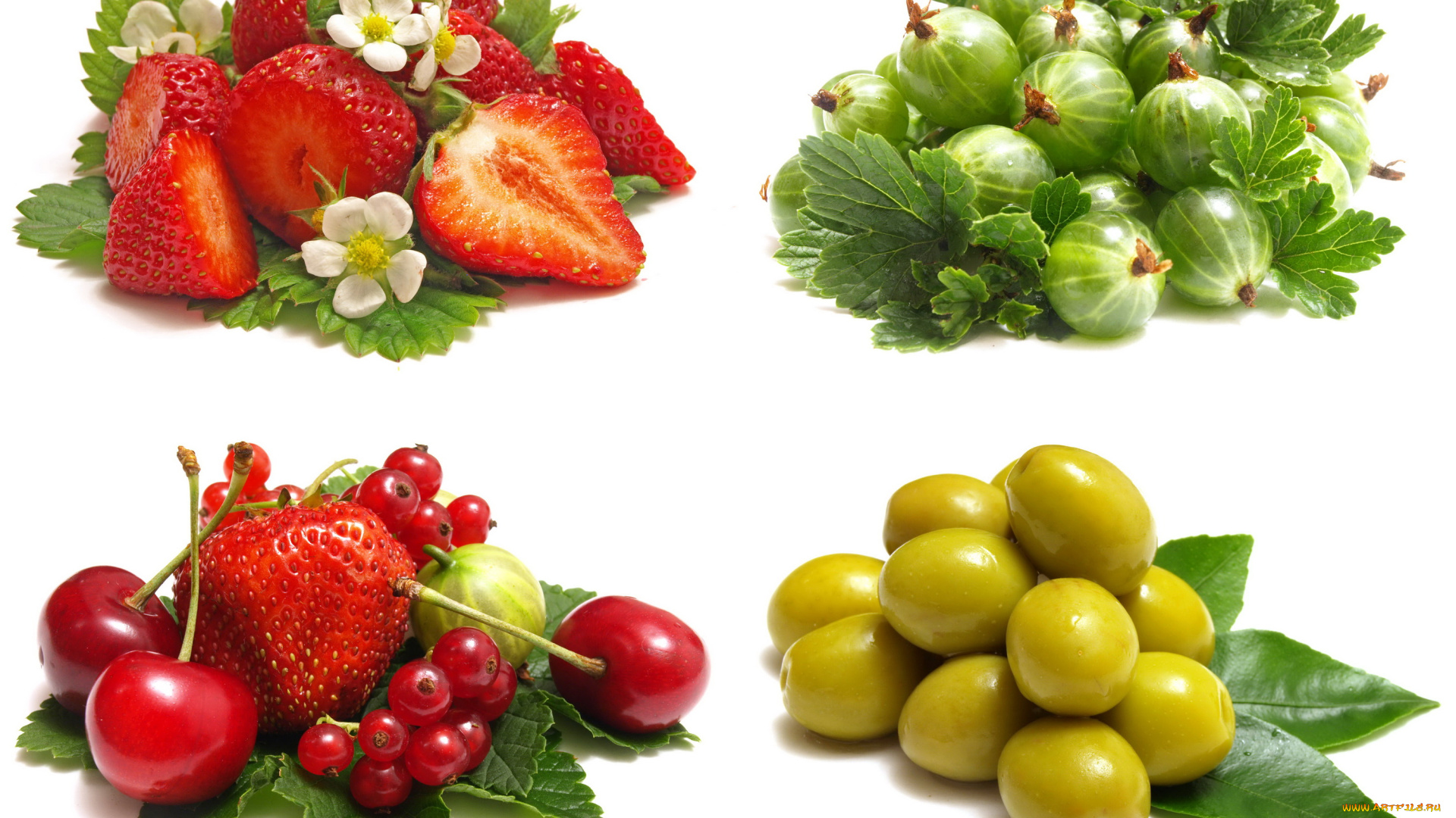 еда, фрукты, и, овощи, вместе, оливки, клубника, цветы, листья, смородина, черешня, крыжовник